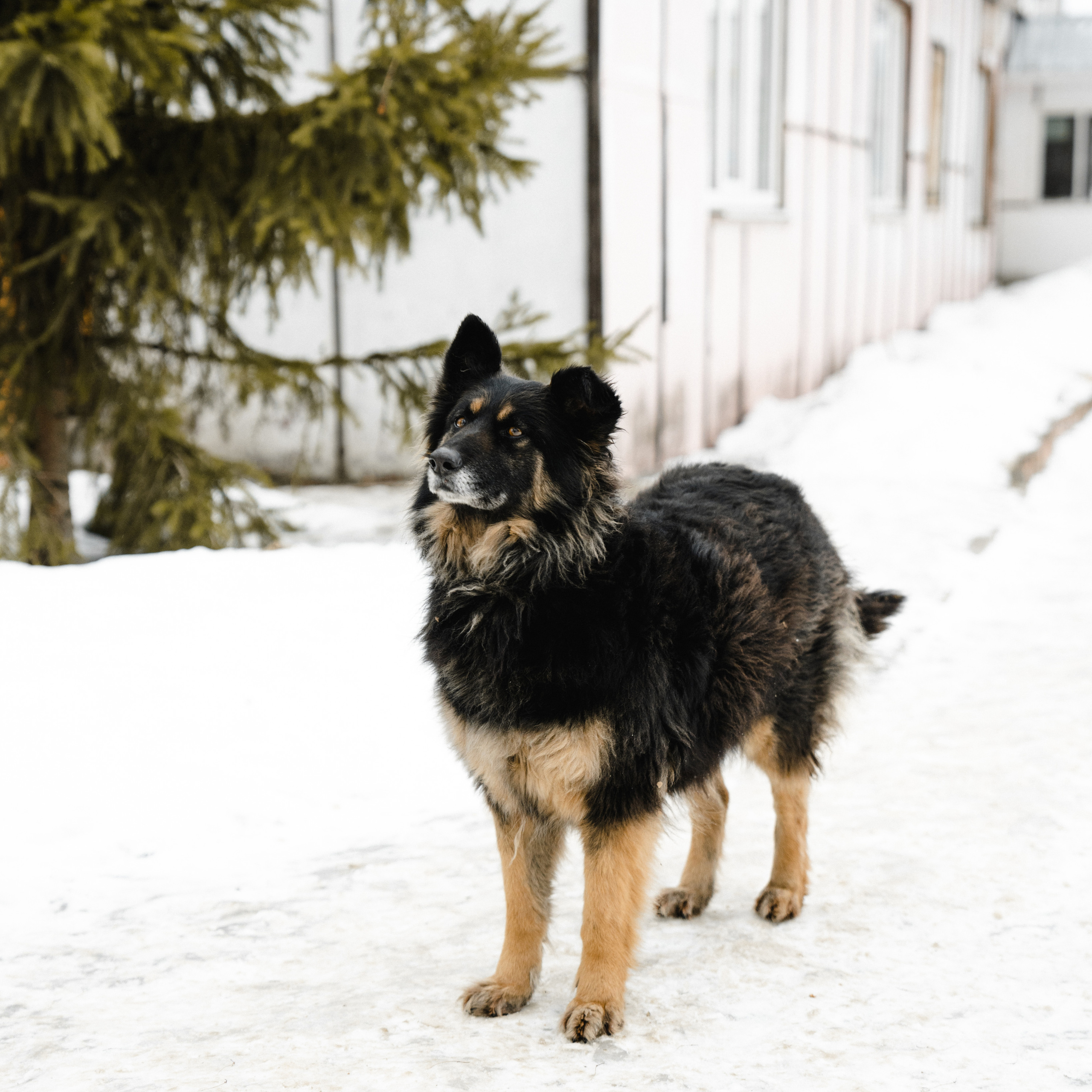 Отзывы. Фотограф Москва и Московская Область Карина Юсупова