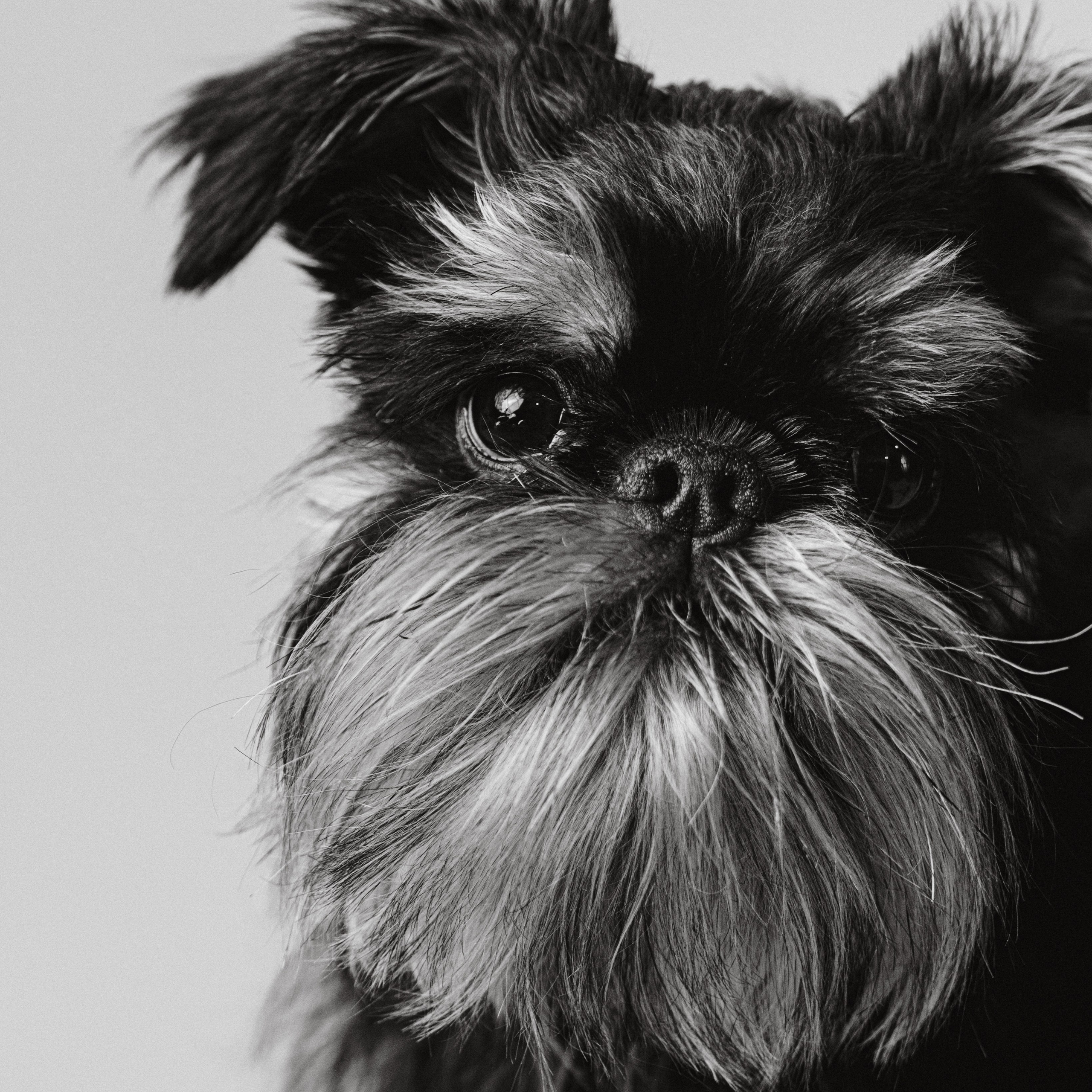 Отзывы. Фотограф Москва и Московская Область Карина Юсупова