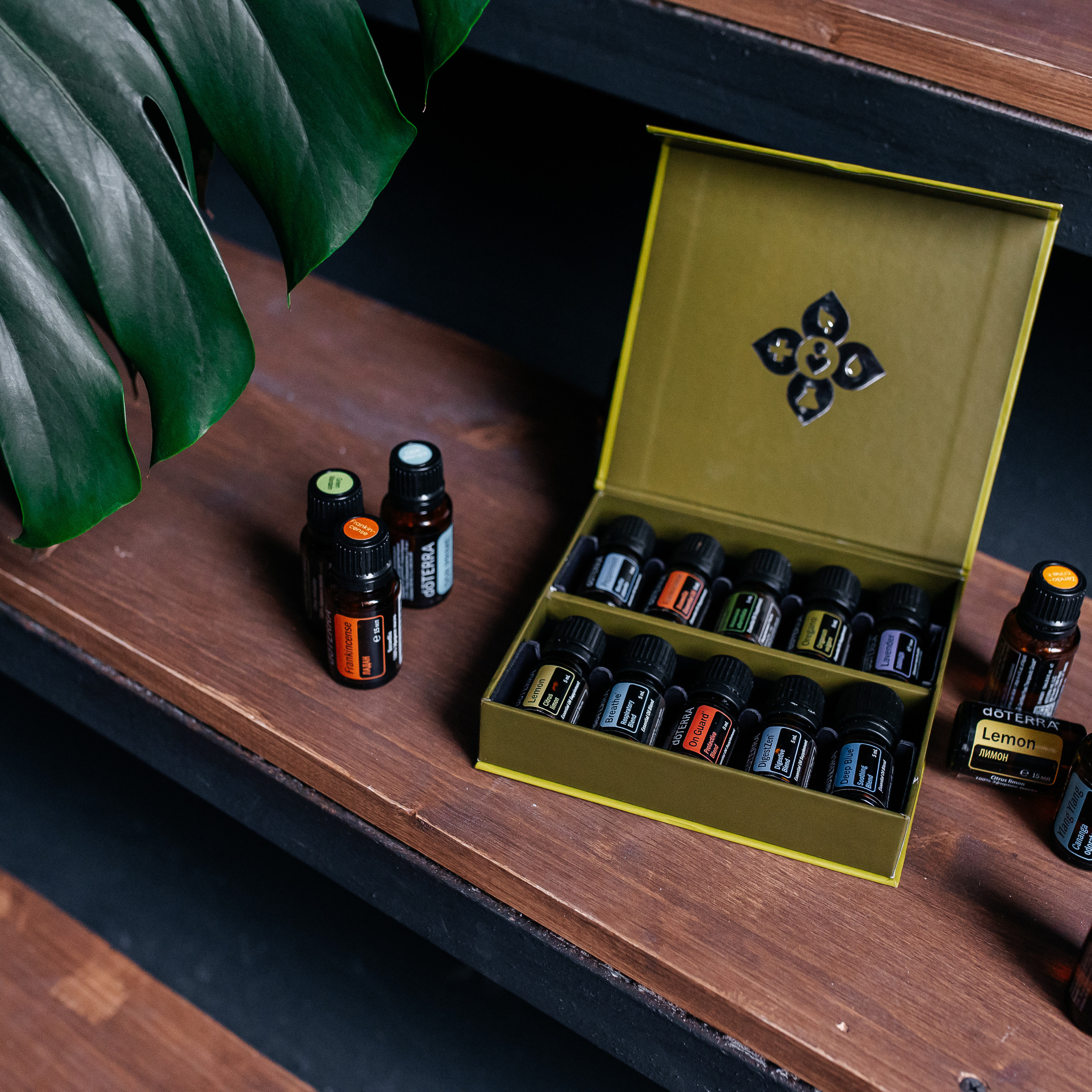 Елена масла Dottera/психолог