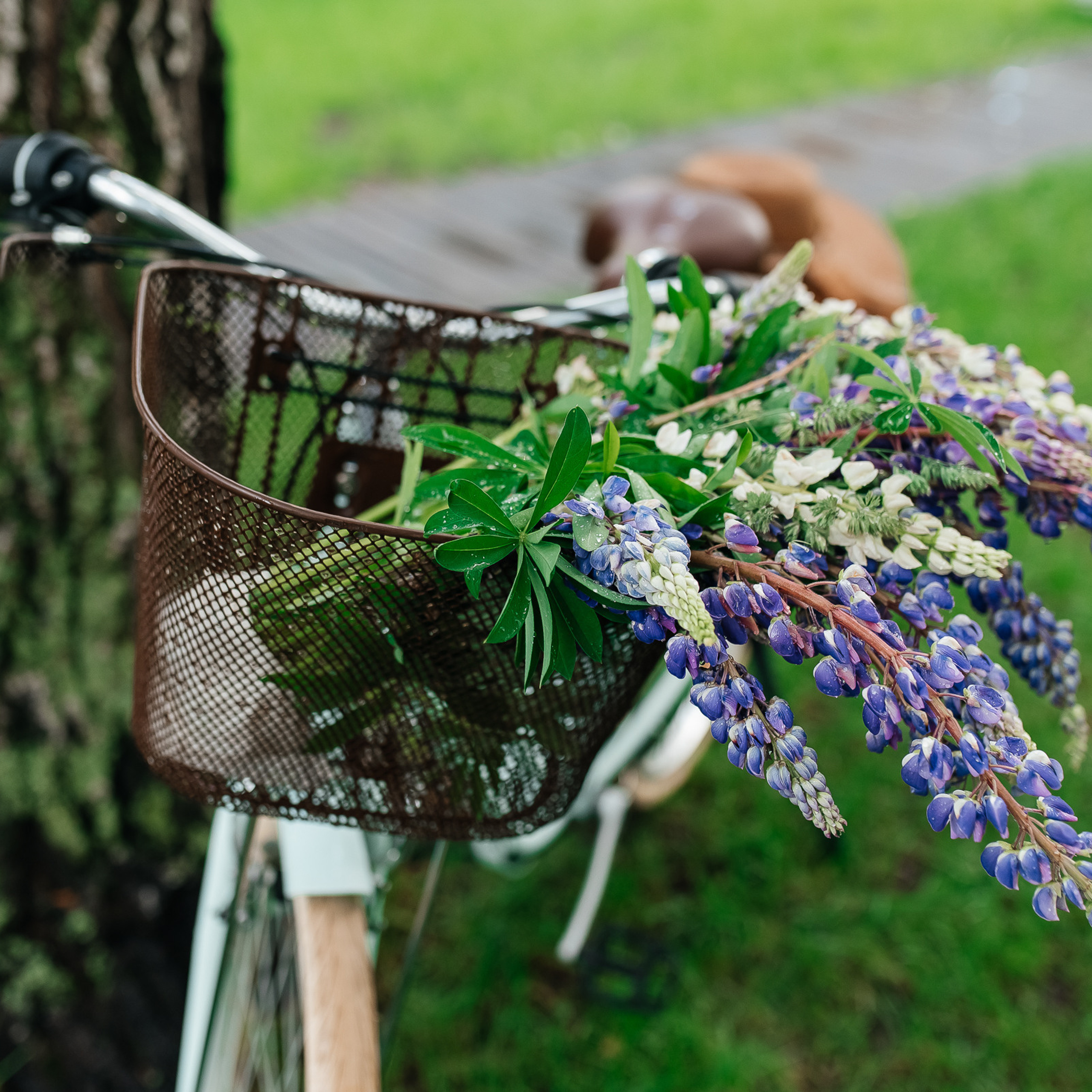 Отзывы. Семейный и детский фотограф в Туле