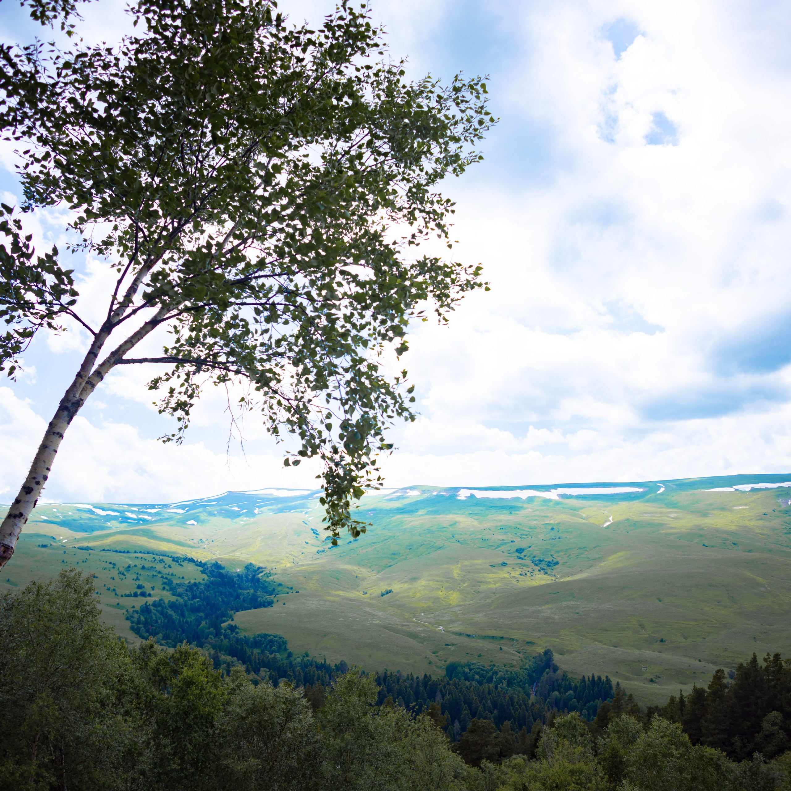 Профессиональный фотограф и видеооператор