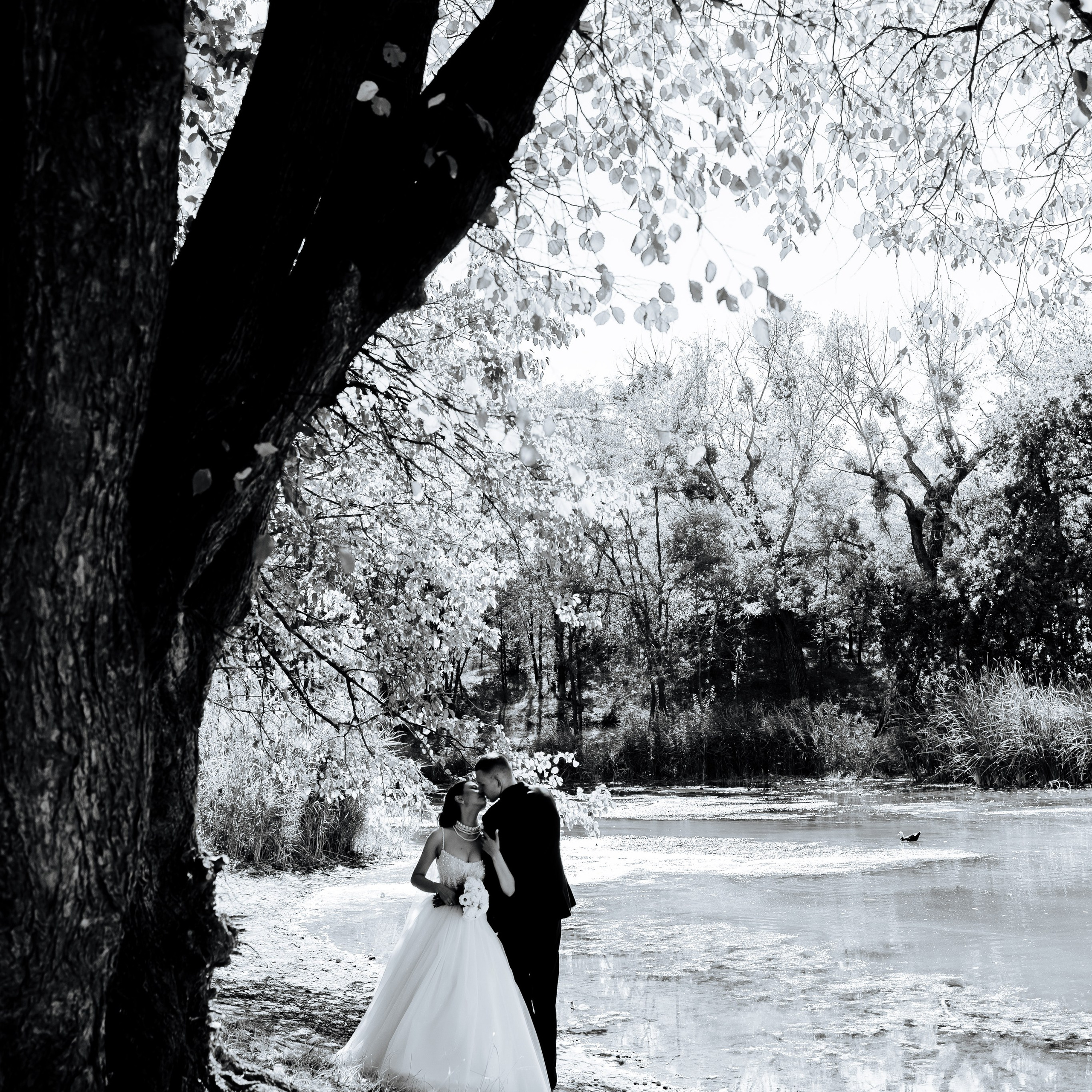 черное и белое