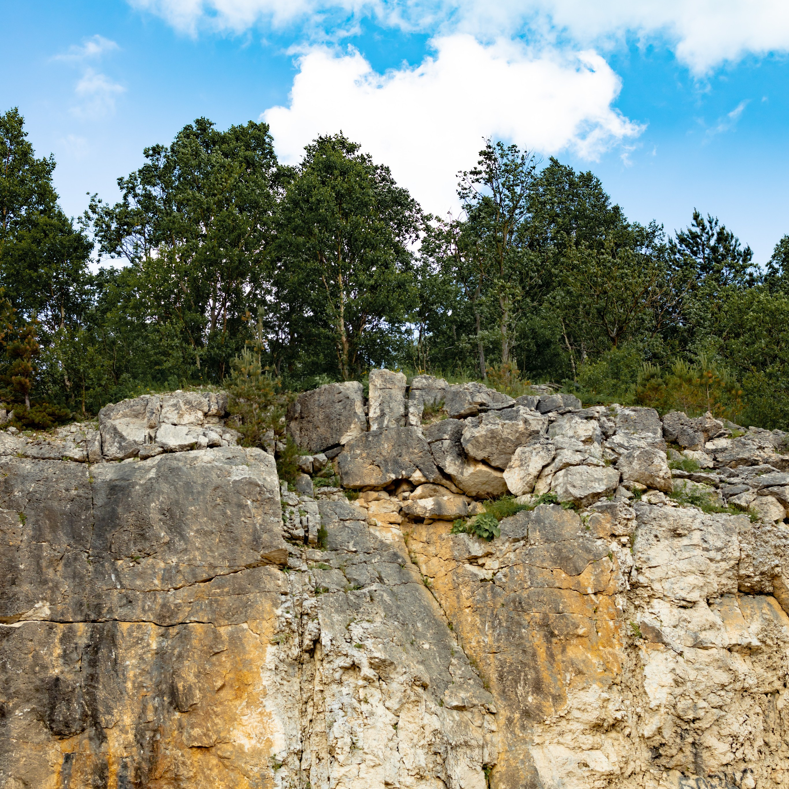 Профессиональный фотограф и видеооператор