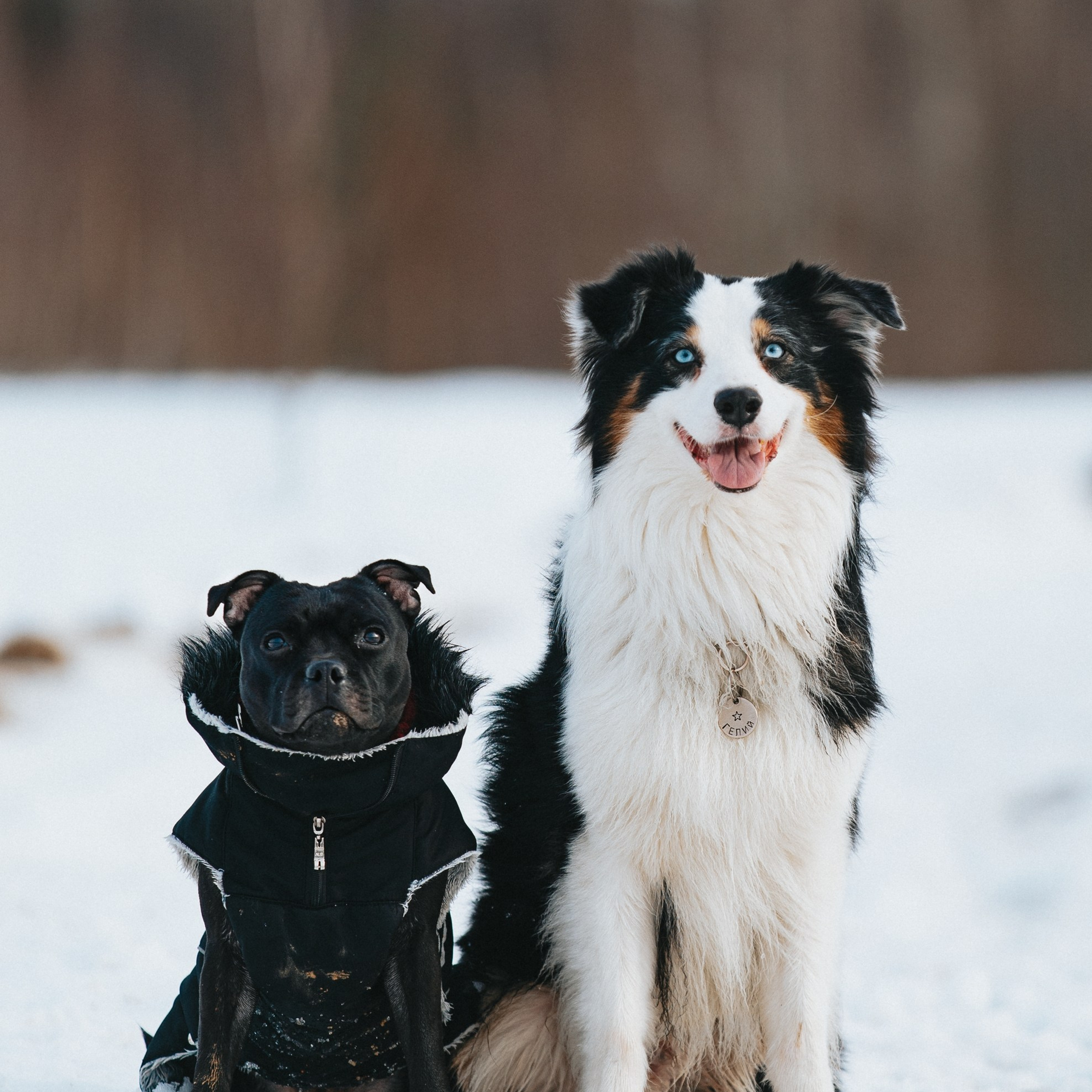 Гелий и&nbsp;Тсахик