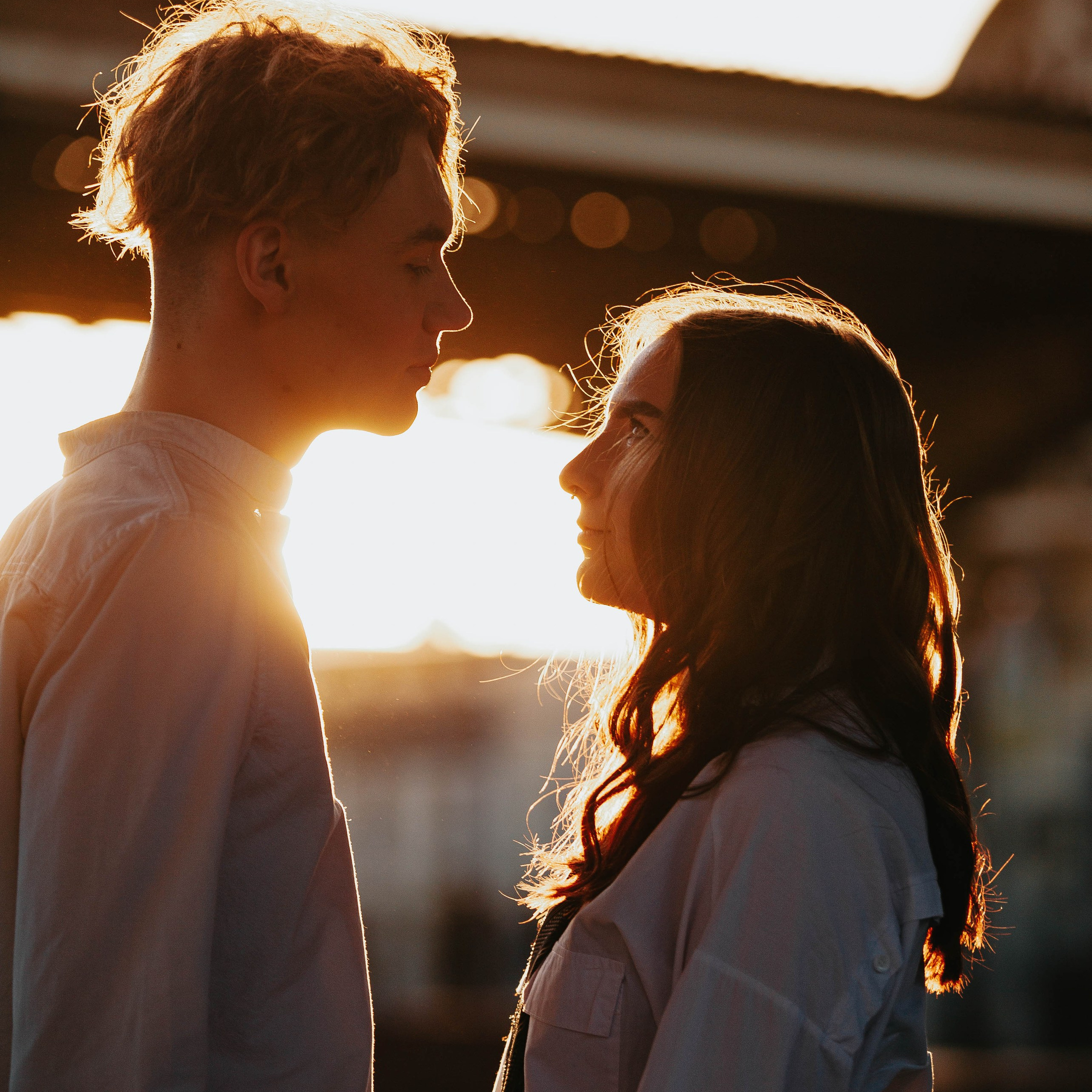 Лев и Вероника