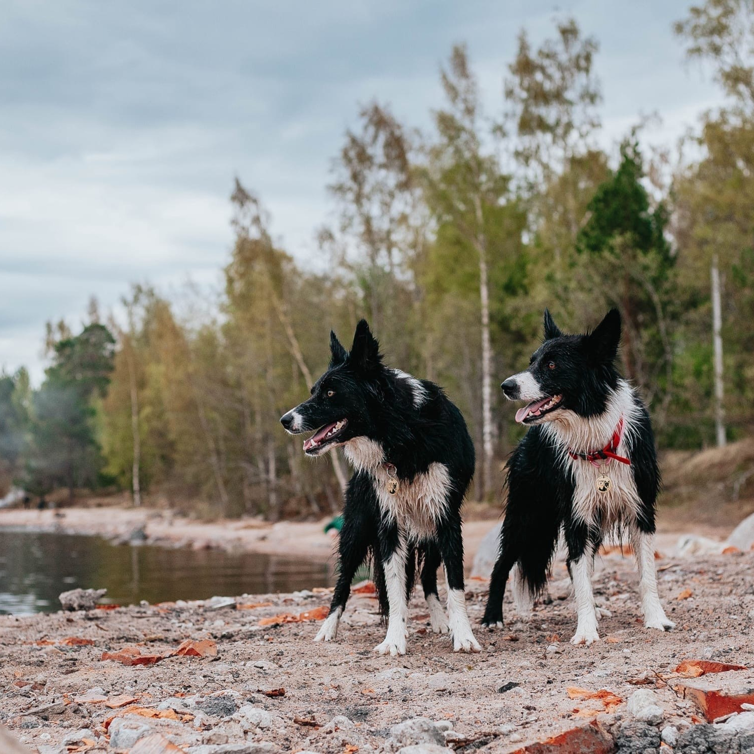 Отзывы. Главная