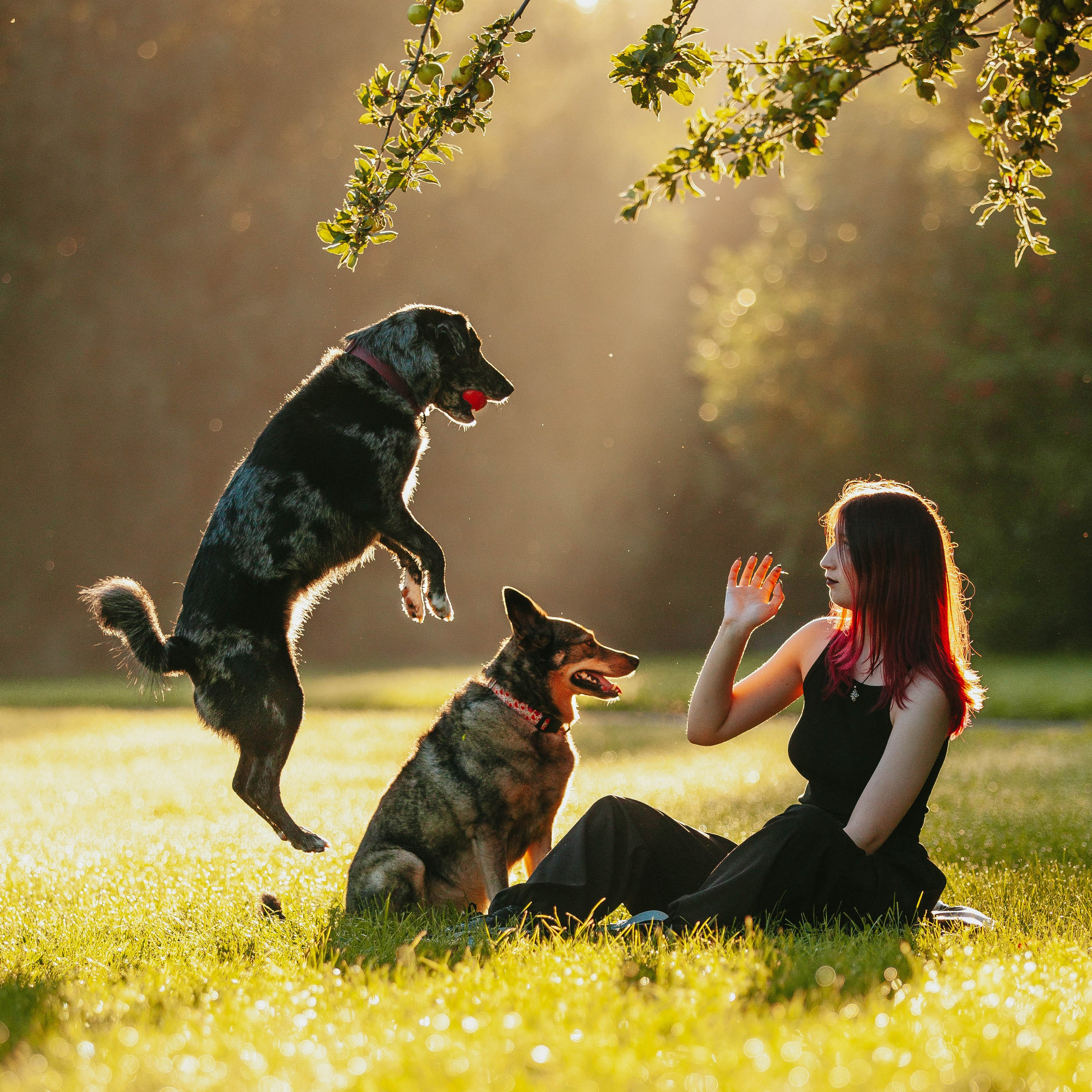 Вега и Гриша