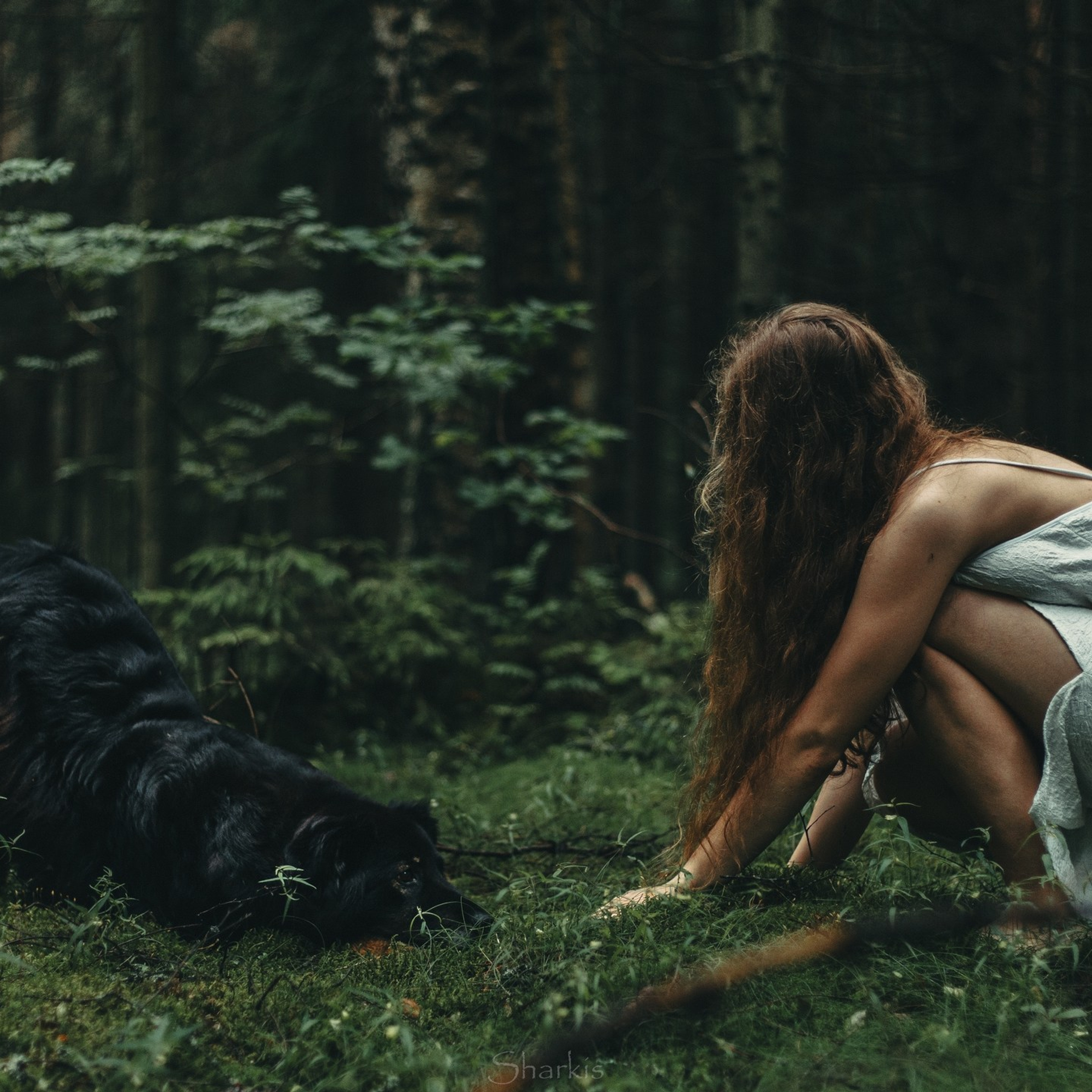 Лиза и&nbsp;Чарли