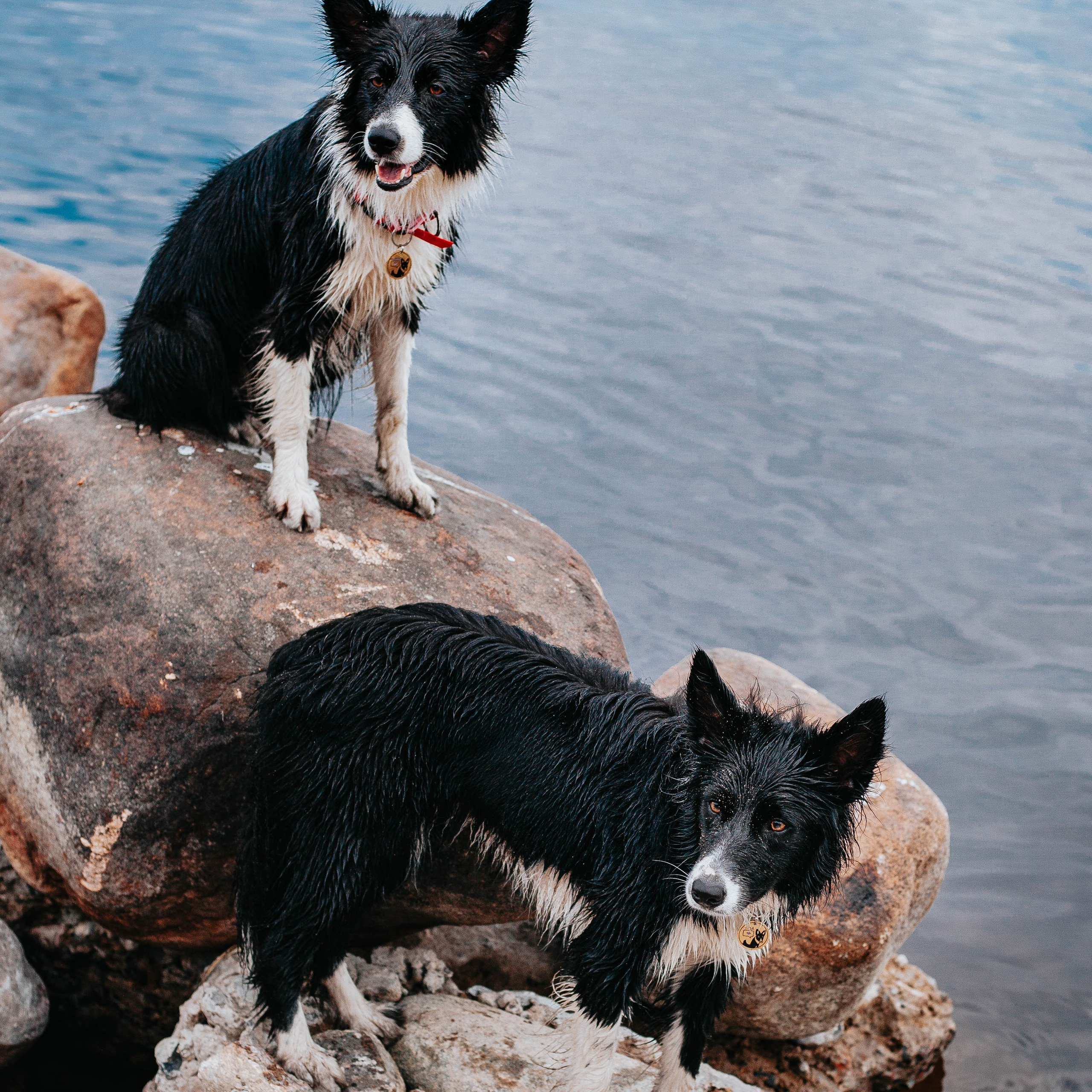 Кида и Сирша