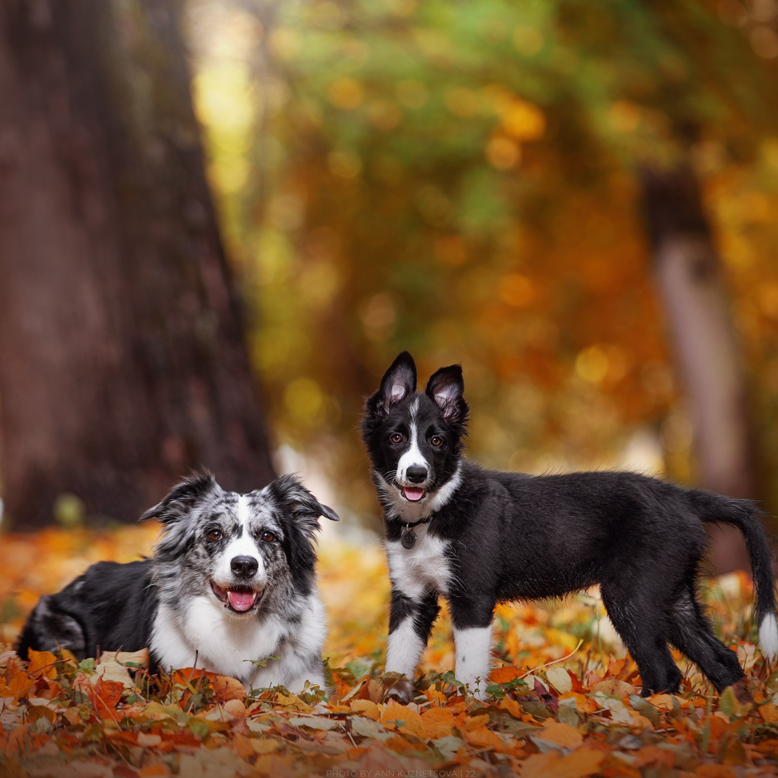 Оди и&nbsp;Юки