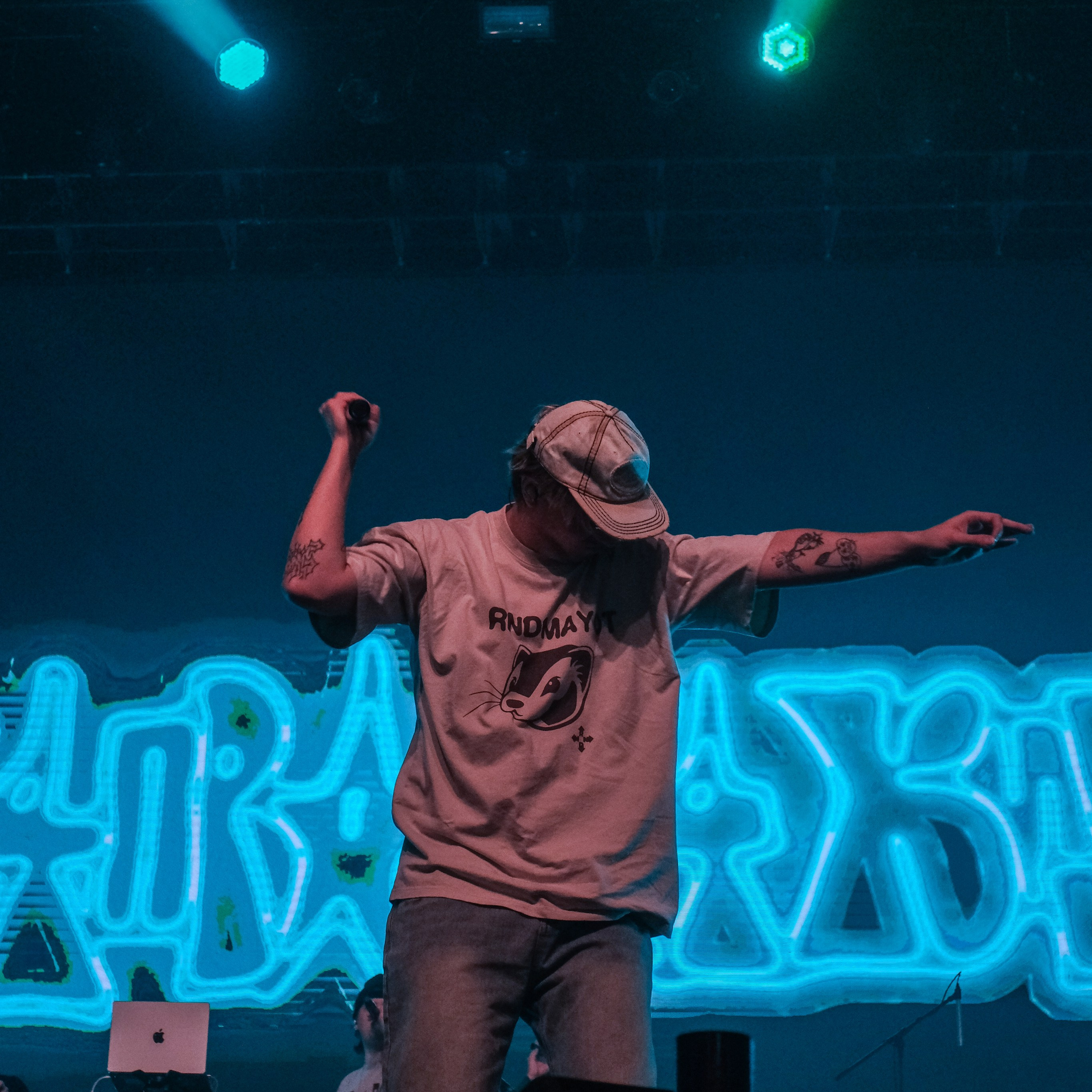 Concert photography. Ssssienbuhaphoto