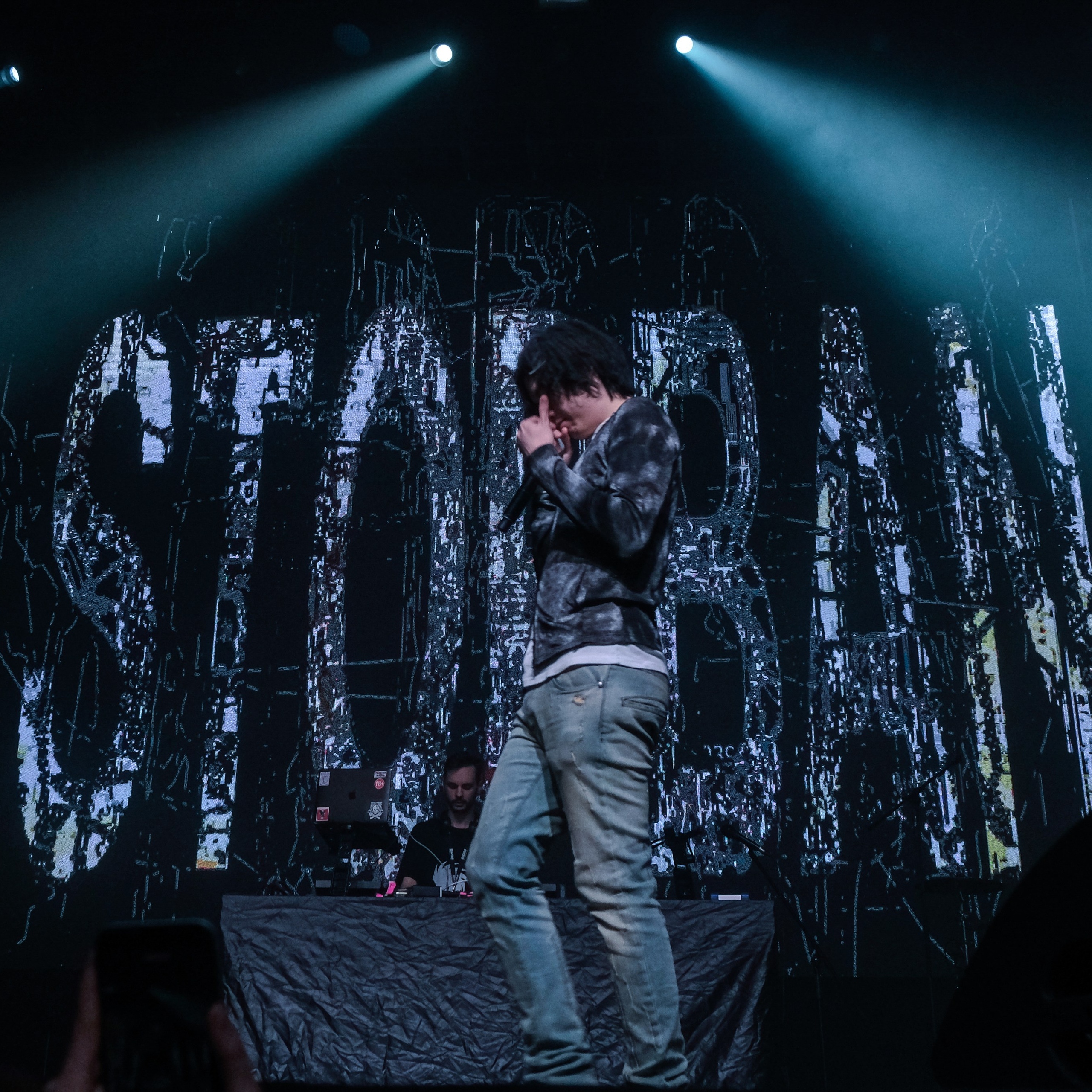 Concert photography. Ssssienbuhaphoto
