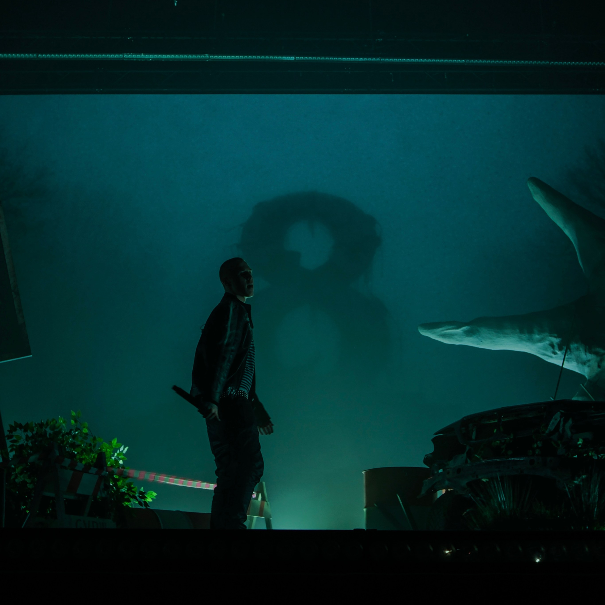 Concert photography. Ssssienbuhaphoto