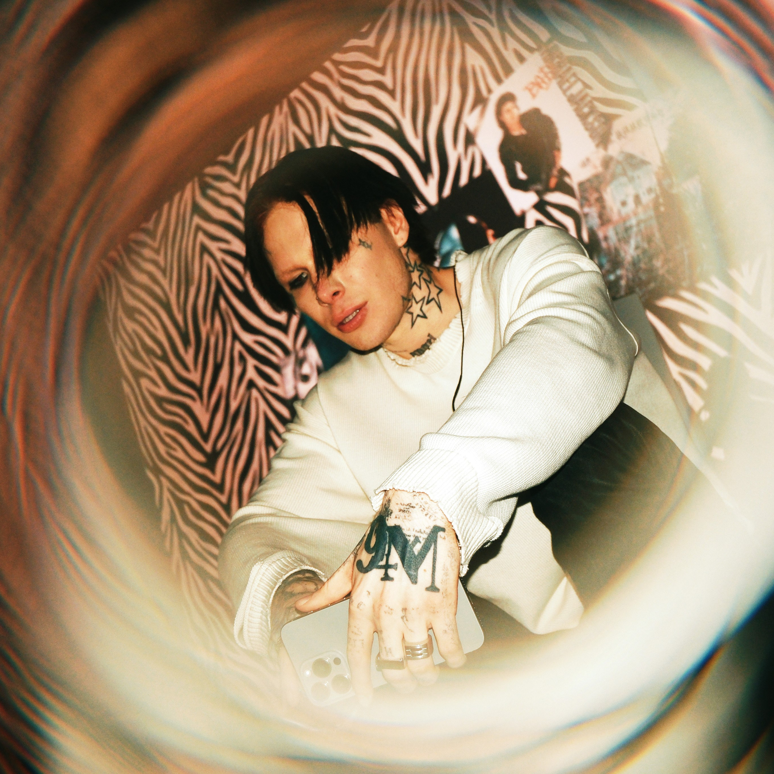 Concert photography. Ssssienbuhaphoto