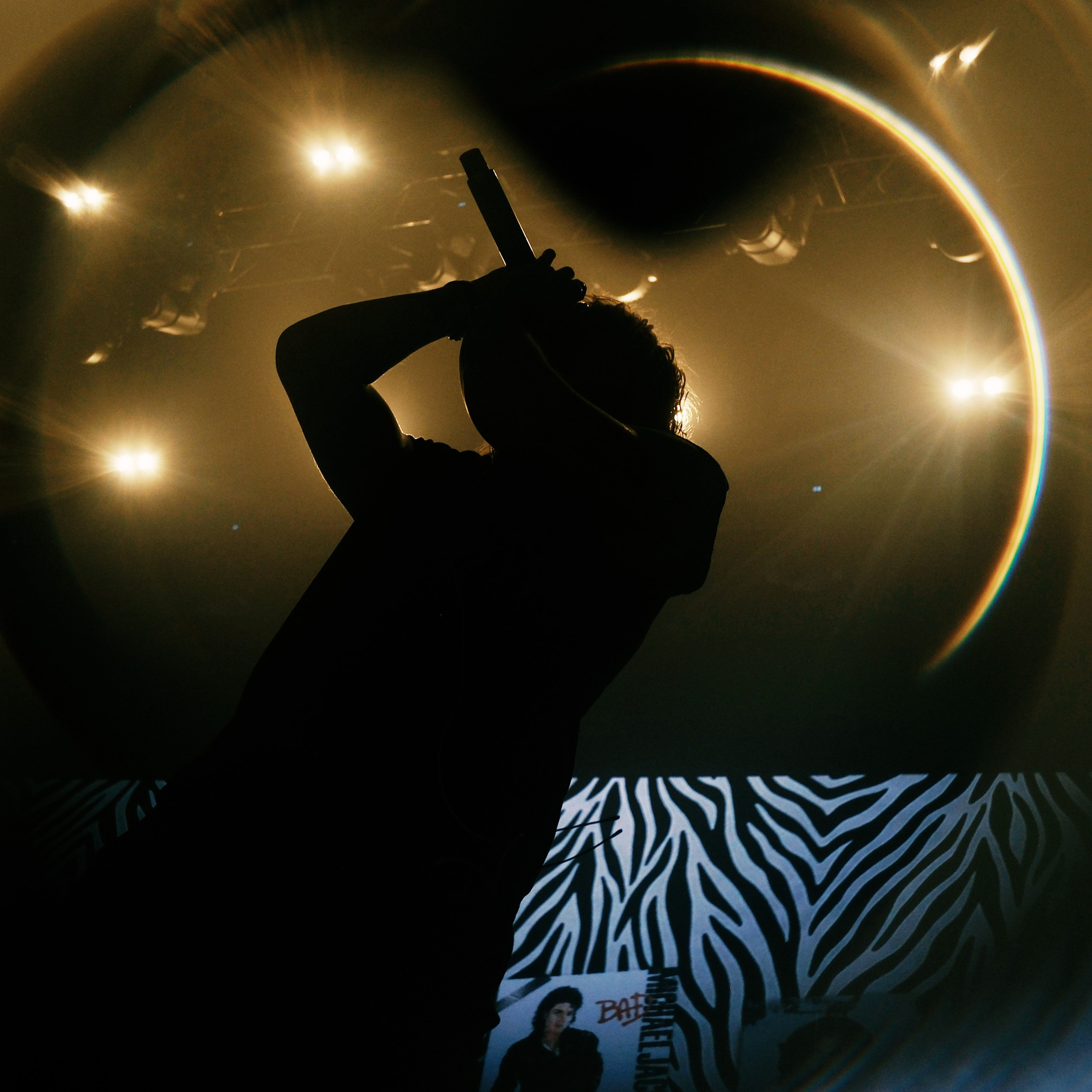 Concert photography. Ssssienbuhaphoto