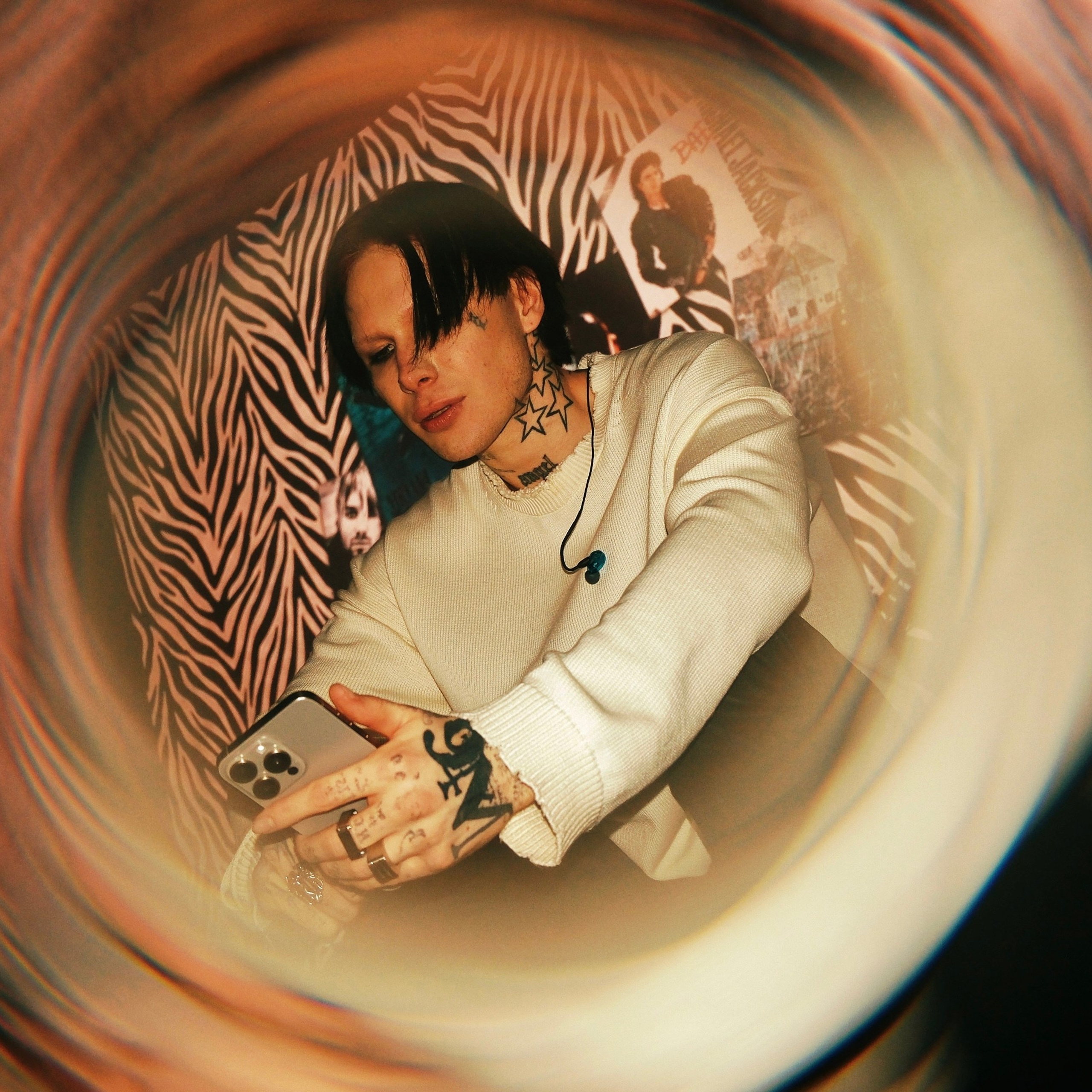 Concert photography. Ssssienbuhaphoto