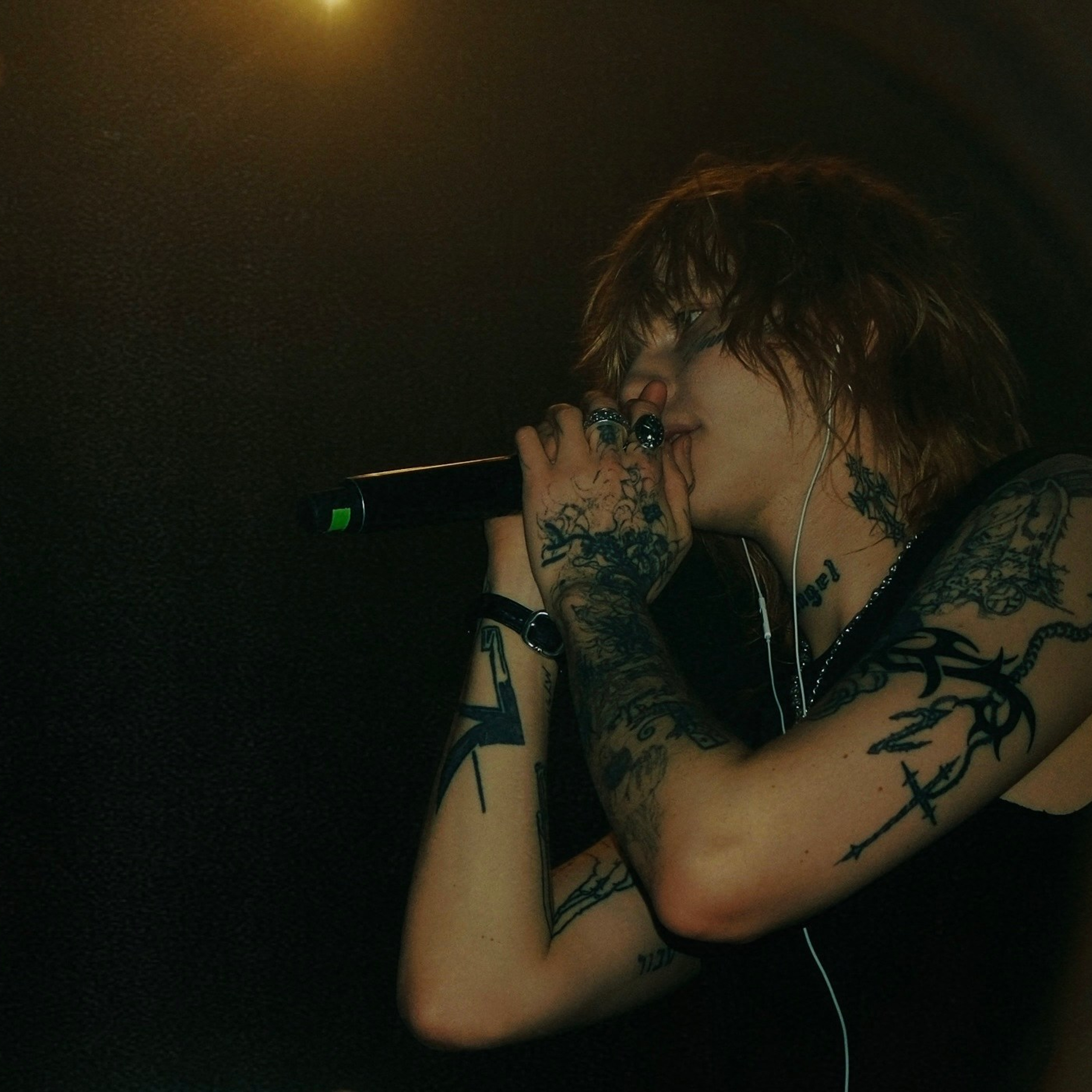 Concert photography. Ssssienbuhaphoto