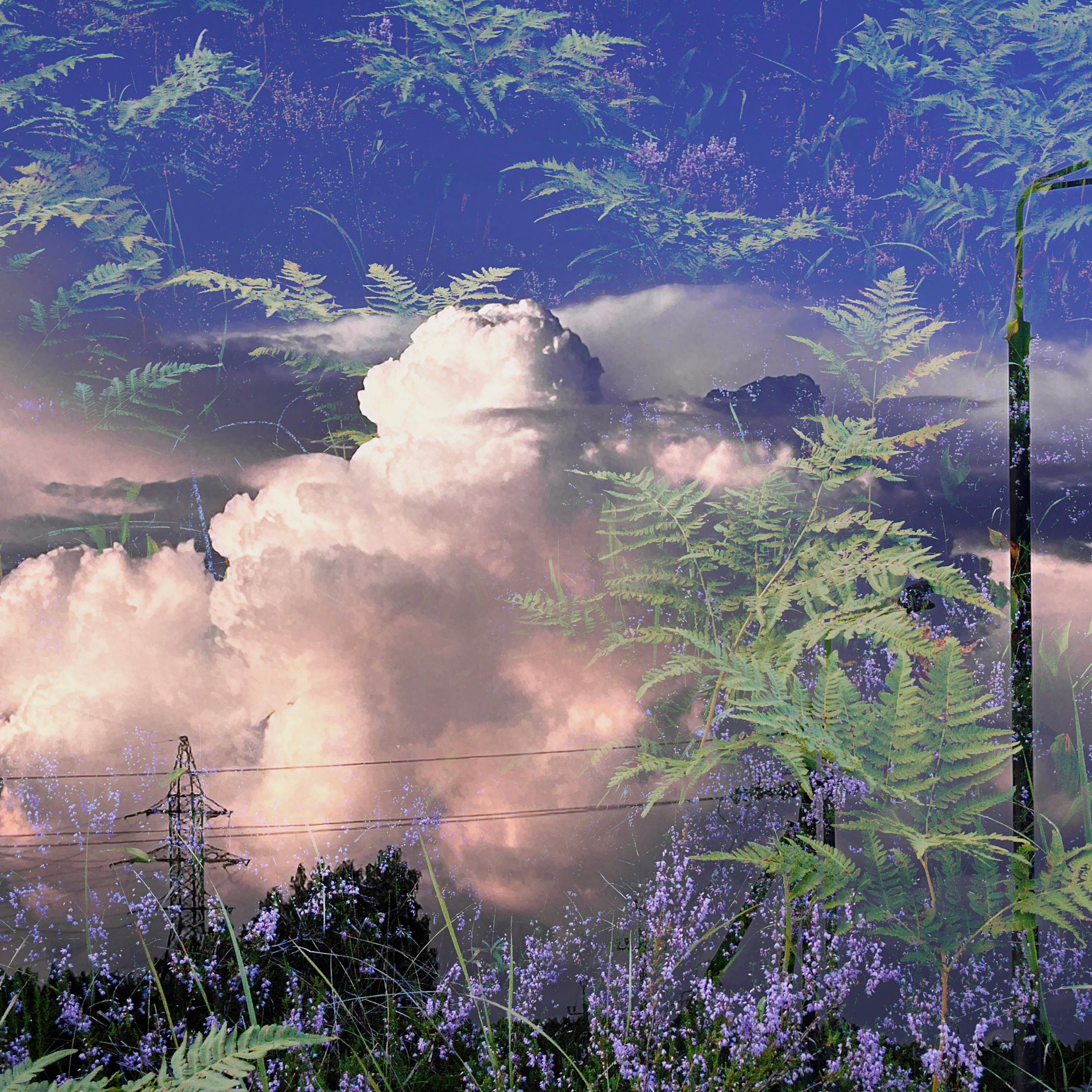 Коллажи by ssssienb. Ssssienbuhaphoto