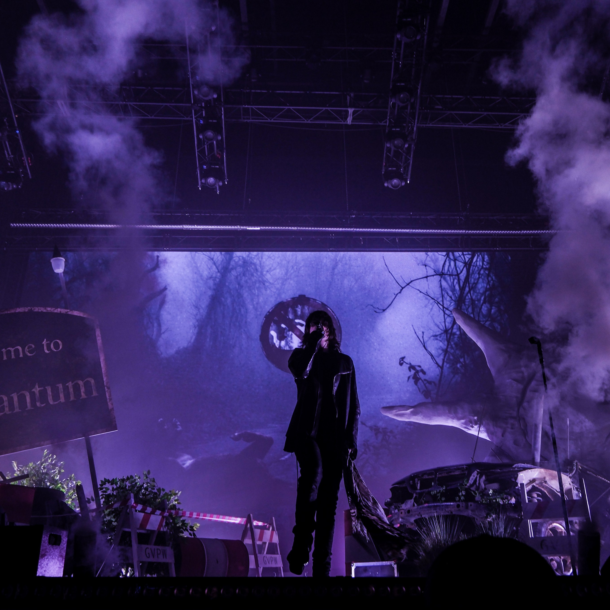 Concert photography. Ssssienbuhaphoto