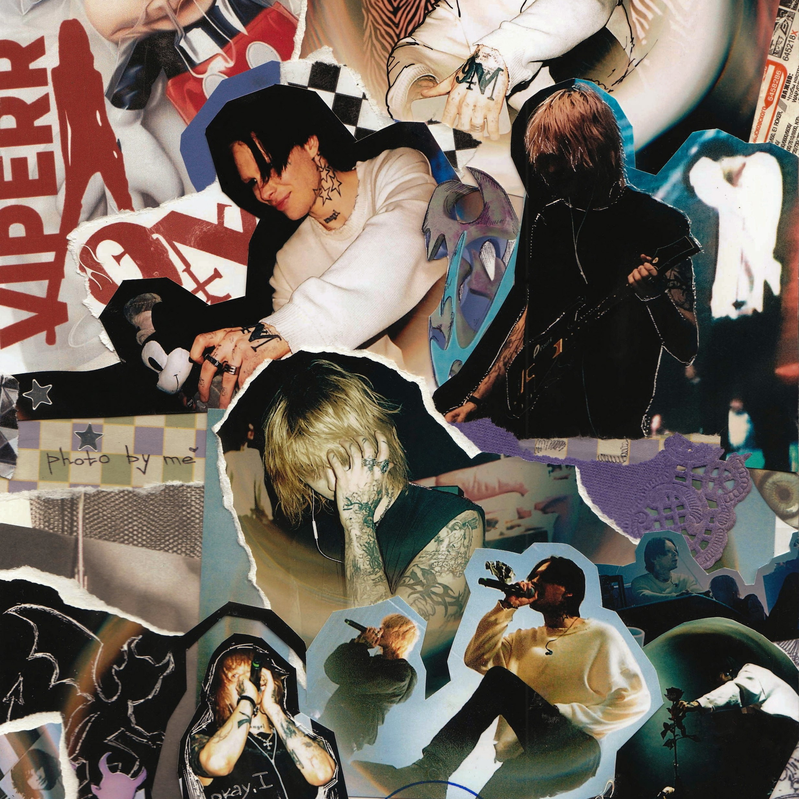 Concert photography. Ssssienbuhaphoto