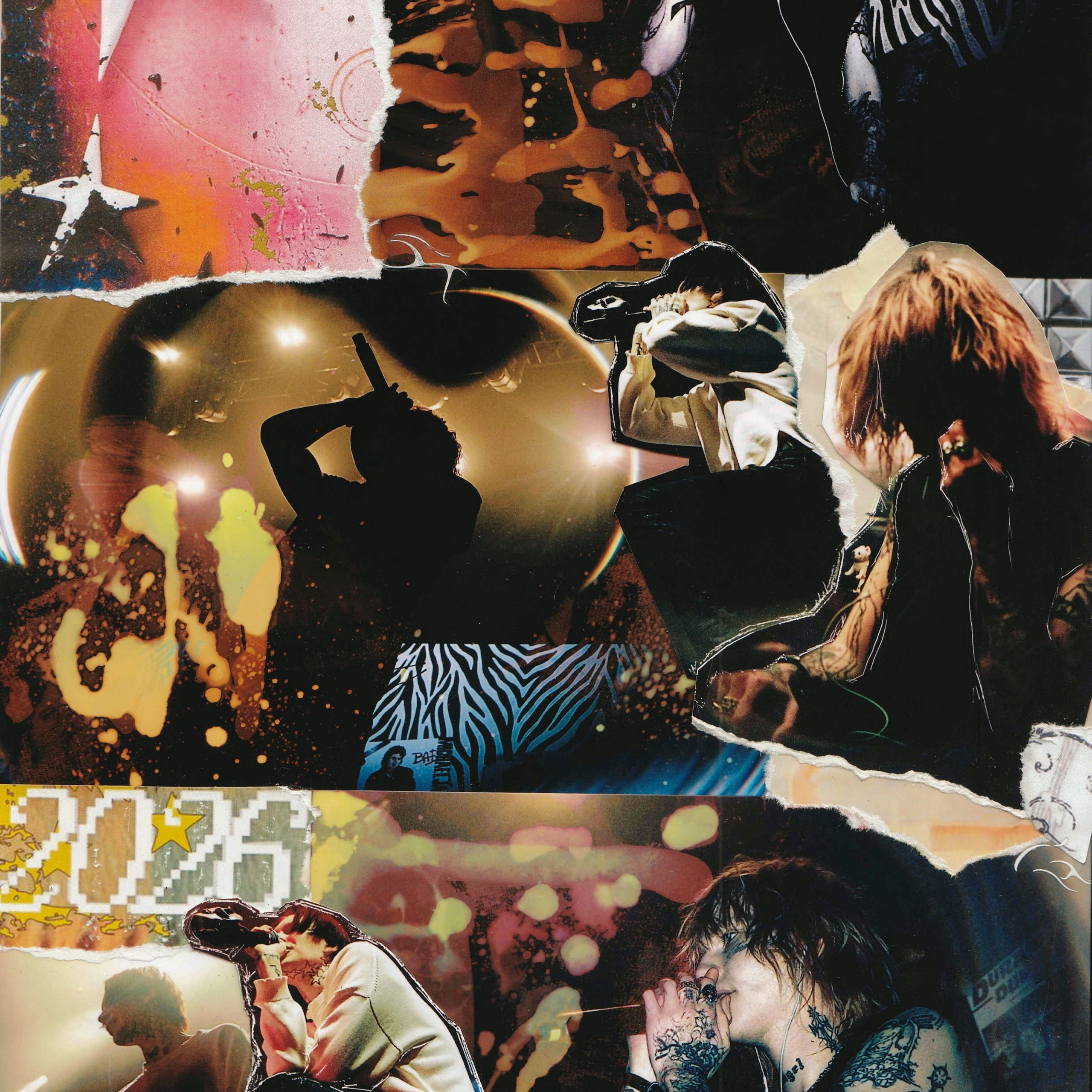 Concert photography. Ssssienbuhaphoto