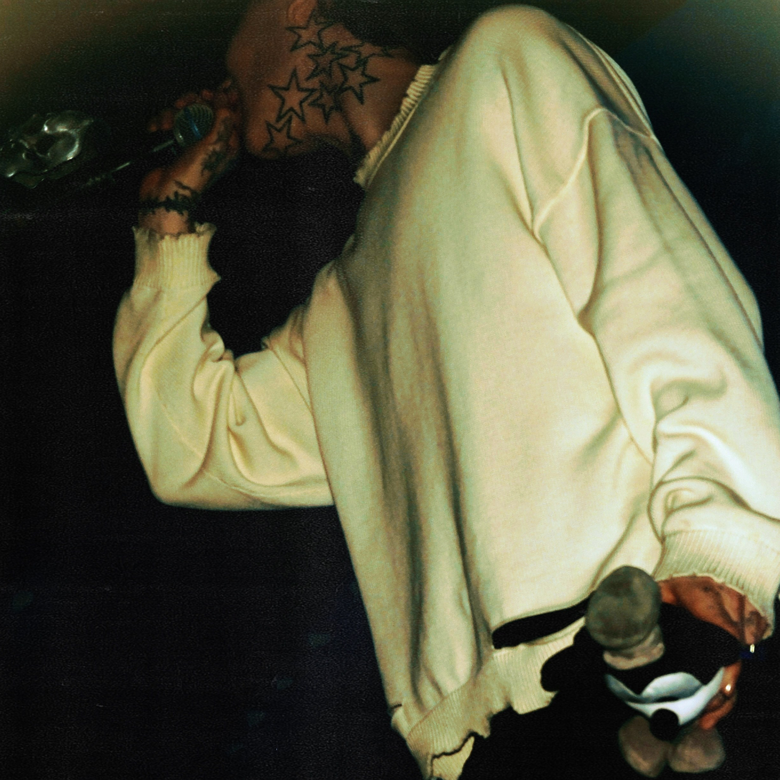 Concert photography. Ssssienbuhaphoto