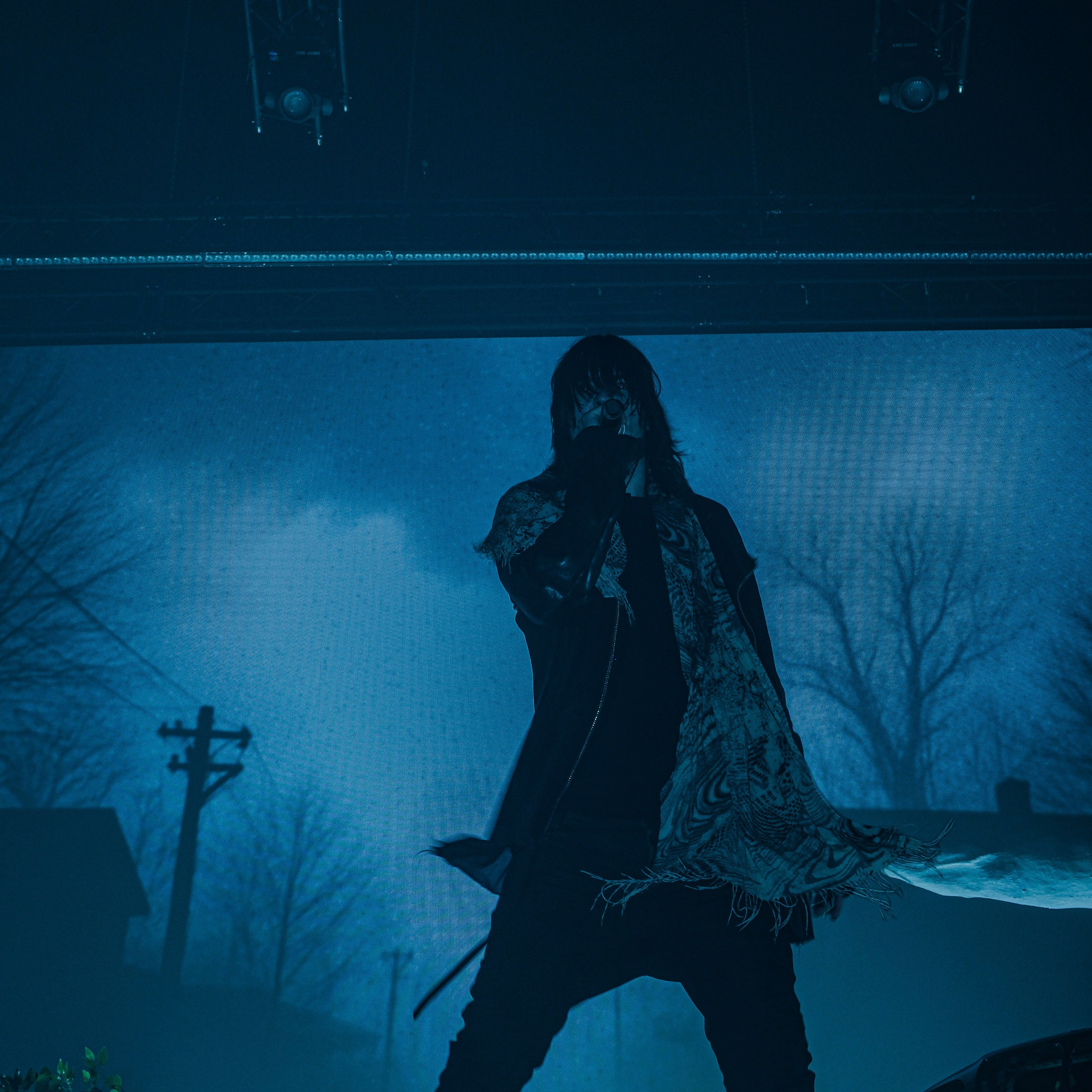 Concert photography. Ssssienbuhaphoto