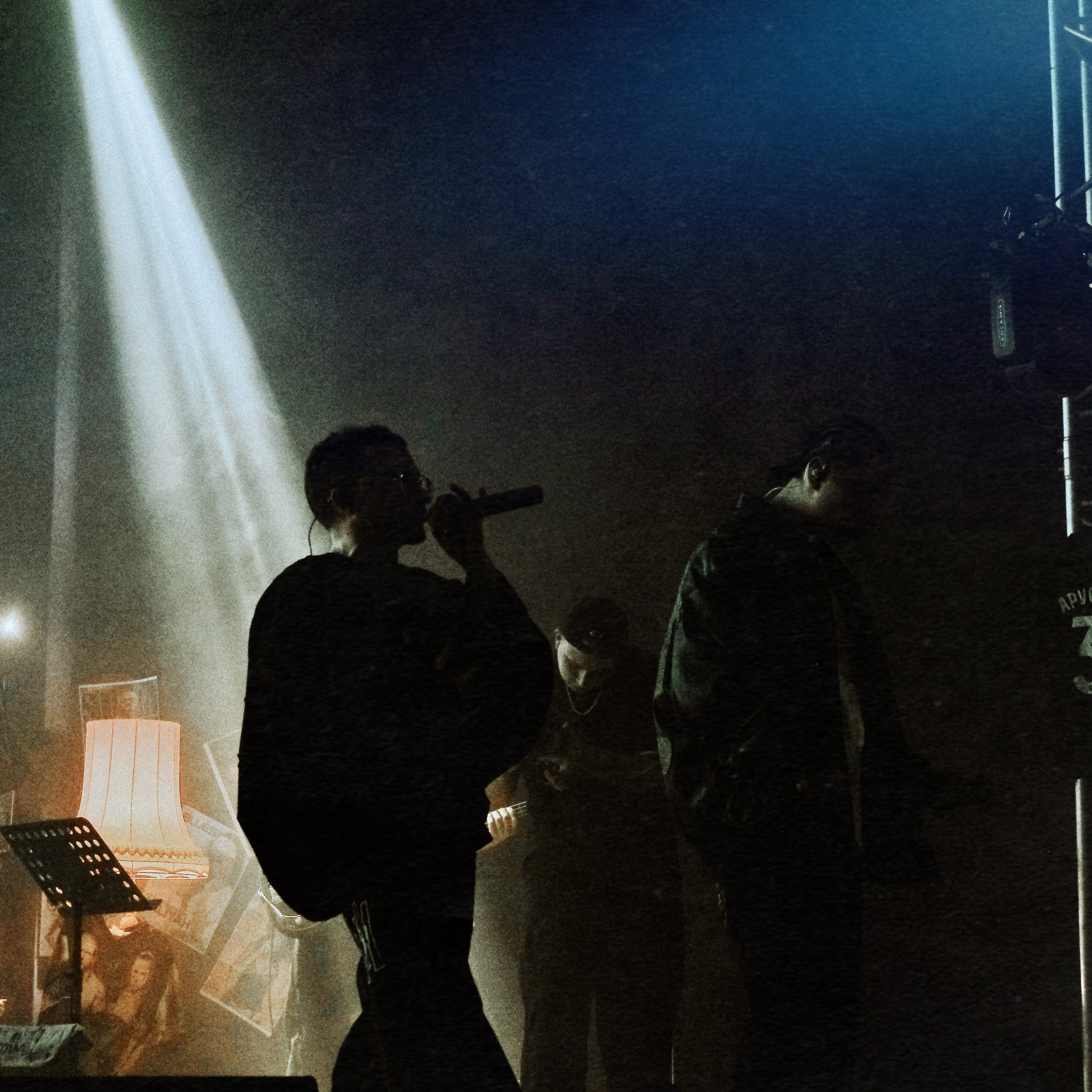 Concert photography. Ssssienbuhaphoto