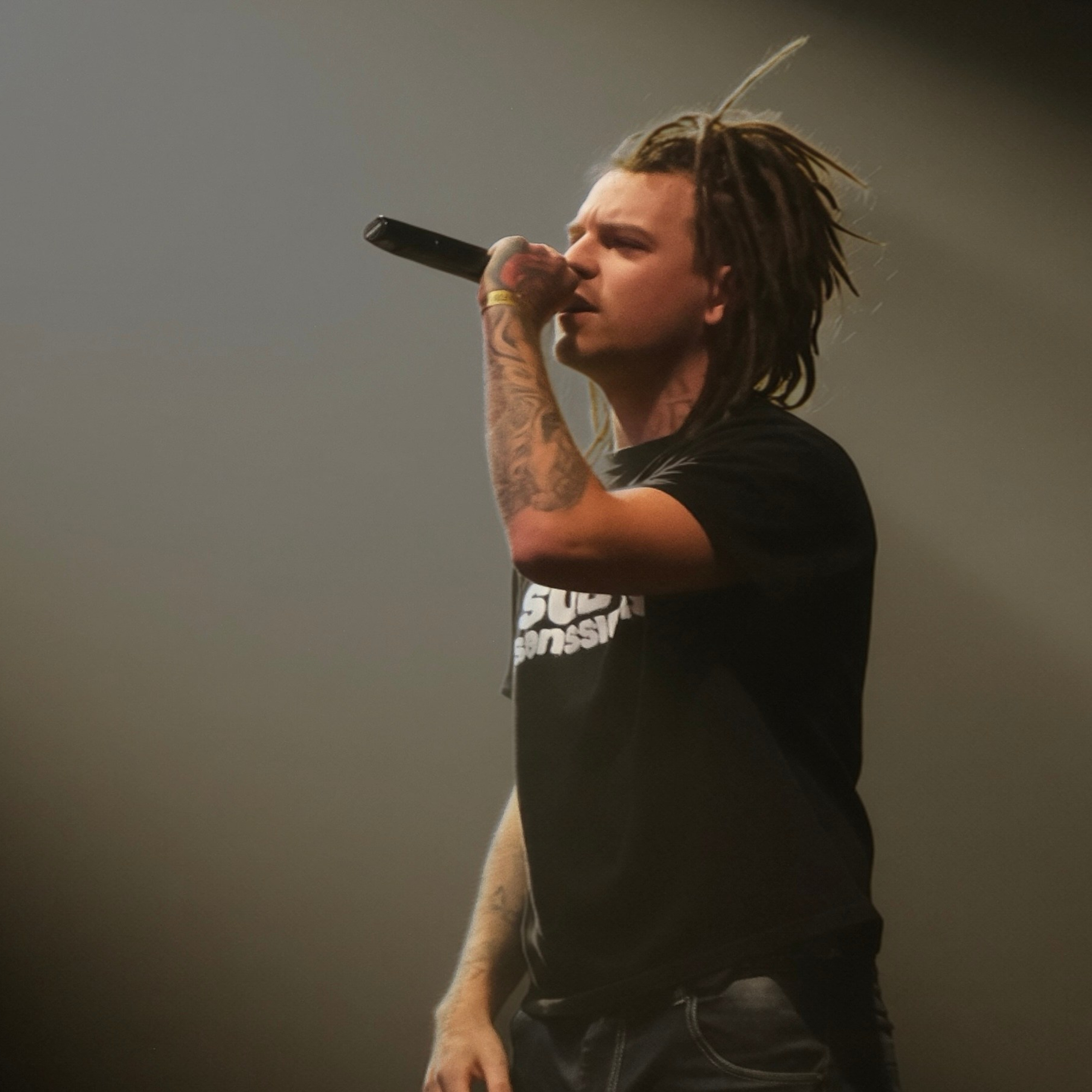 Concert photography. Ssssienbuhaphoto