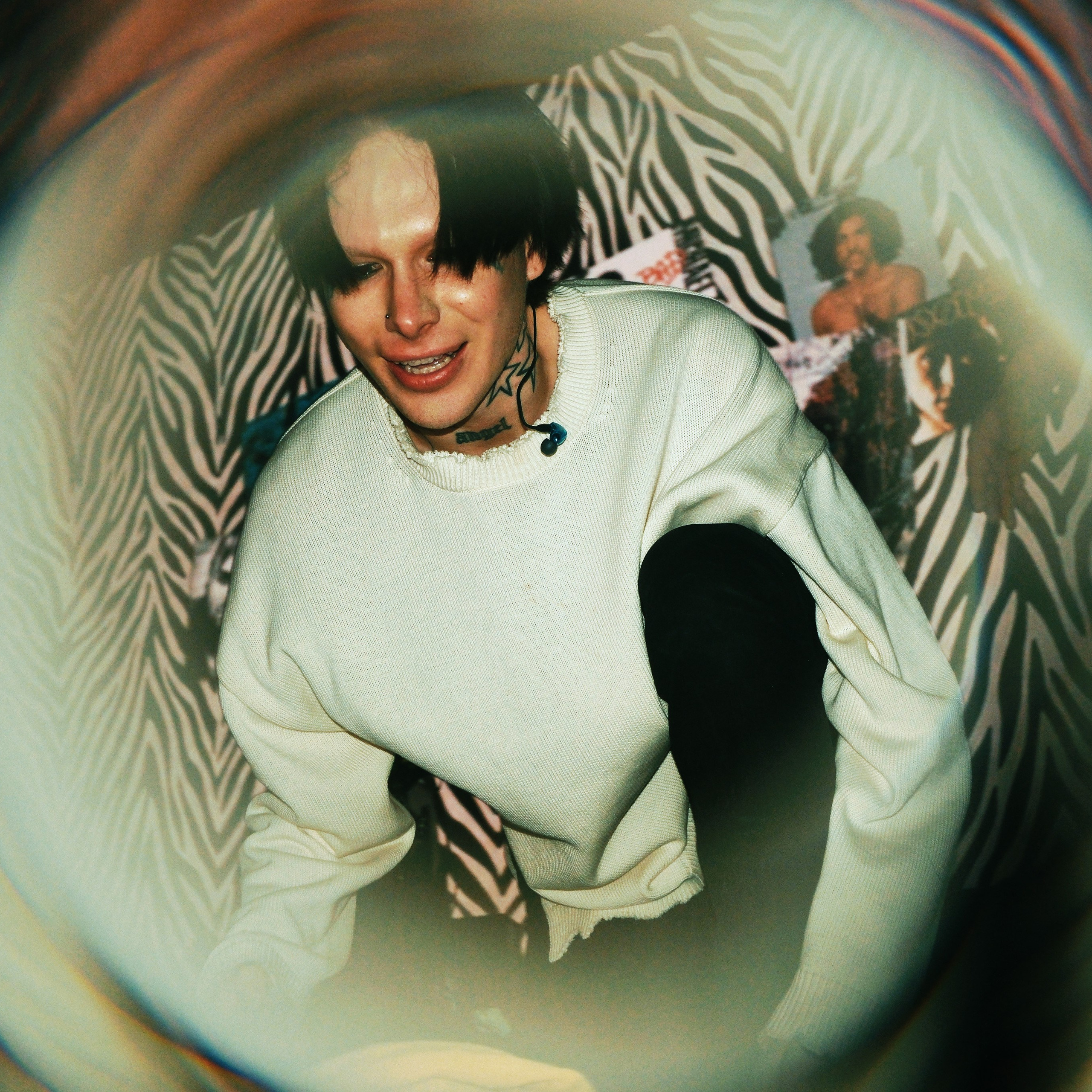 Concert photography. Ssssienbuhaphoto