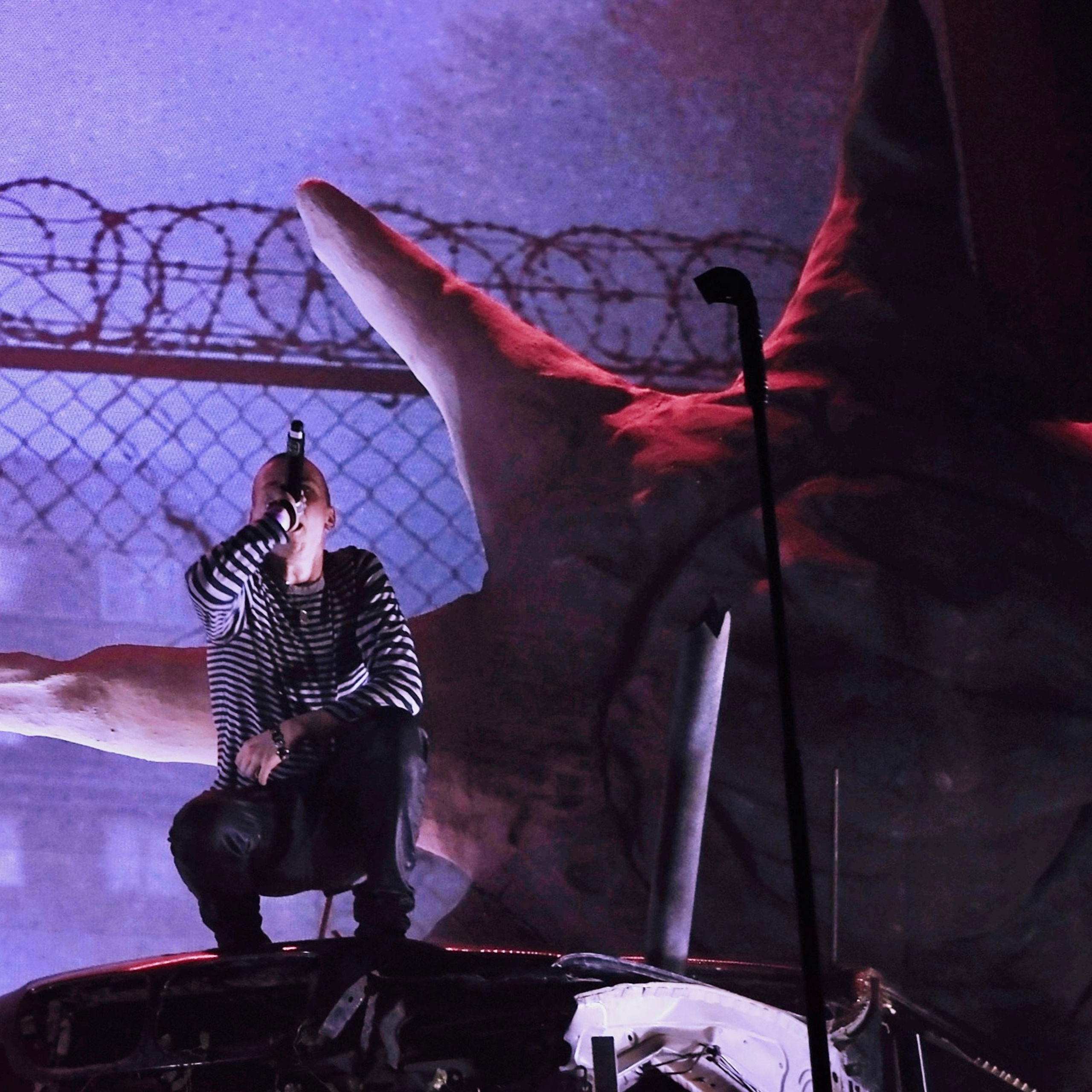 Concert photography. Ssssienbuhaphoto