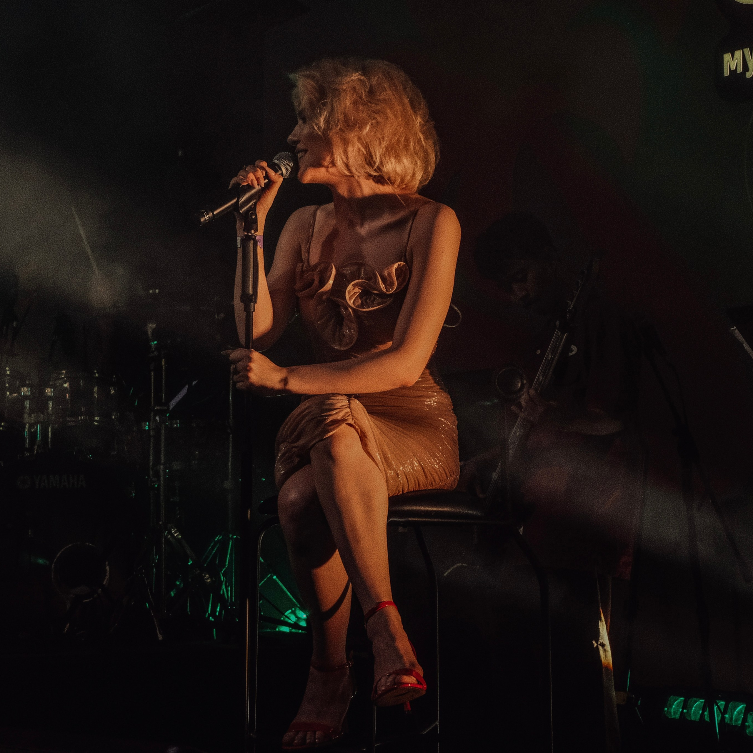 Concert photography. Ssssienbuhaphoto