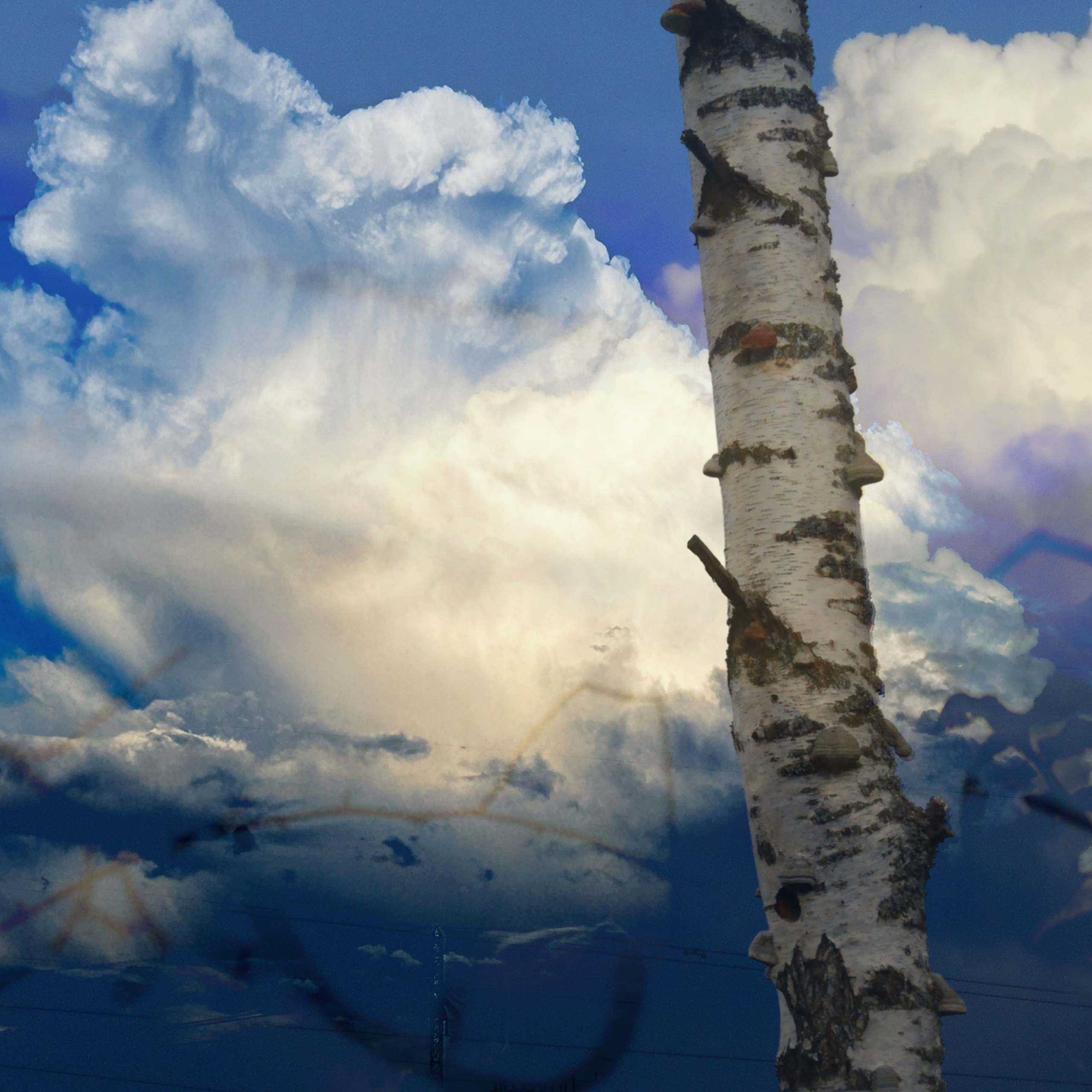 Коллажи by ssssienb. Ssssienbuhaphoto