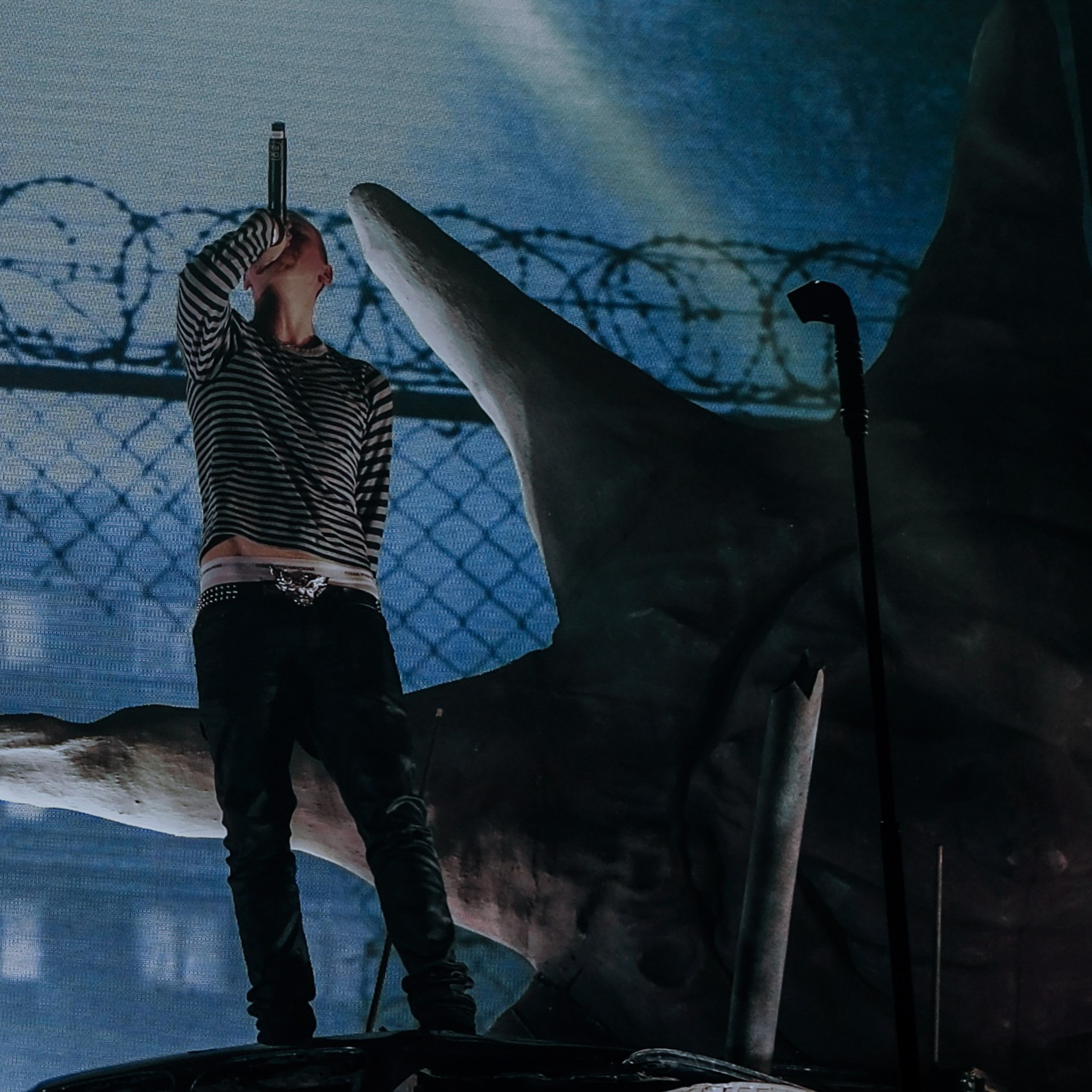 Concert photography. Ssssienbuhaphoto