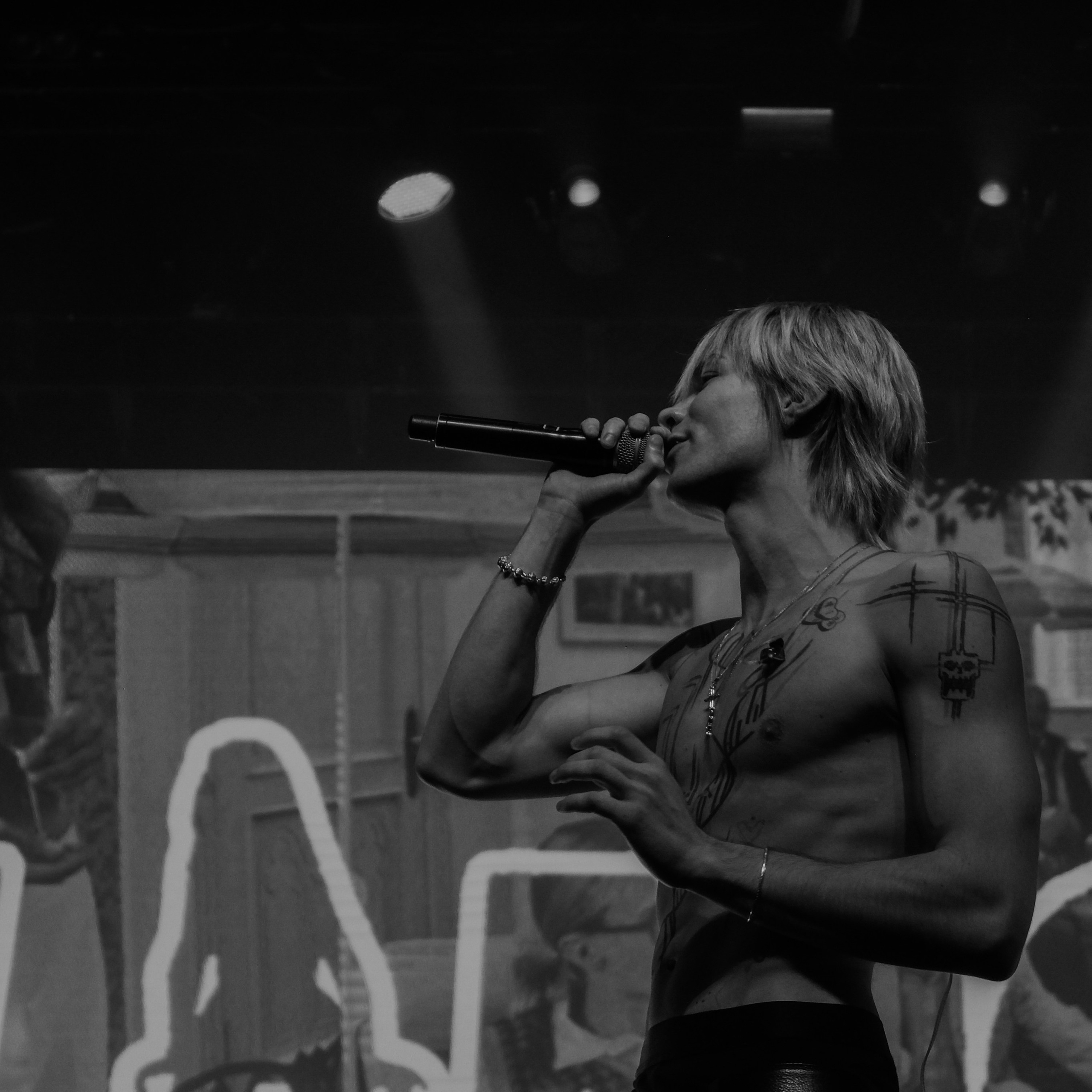Concert photography. Ssssienbuhaphoto