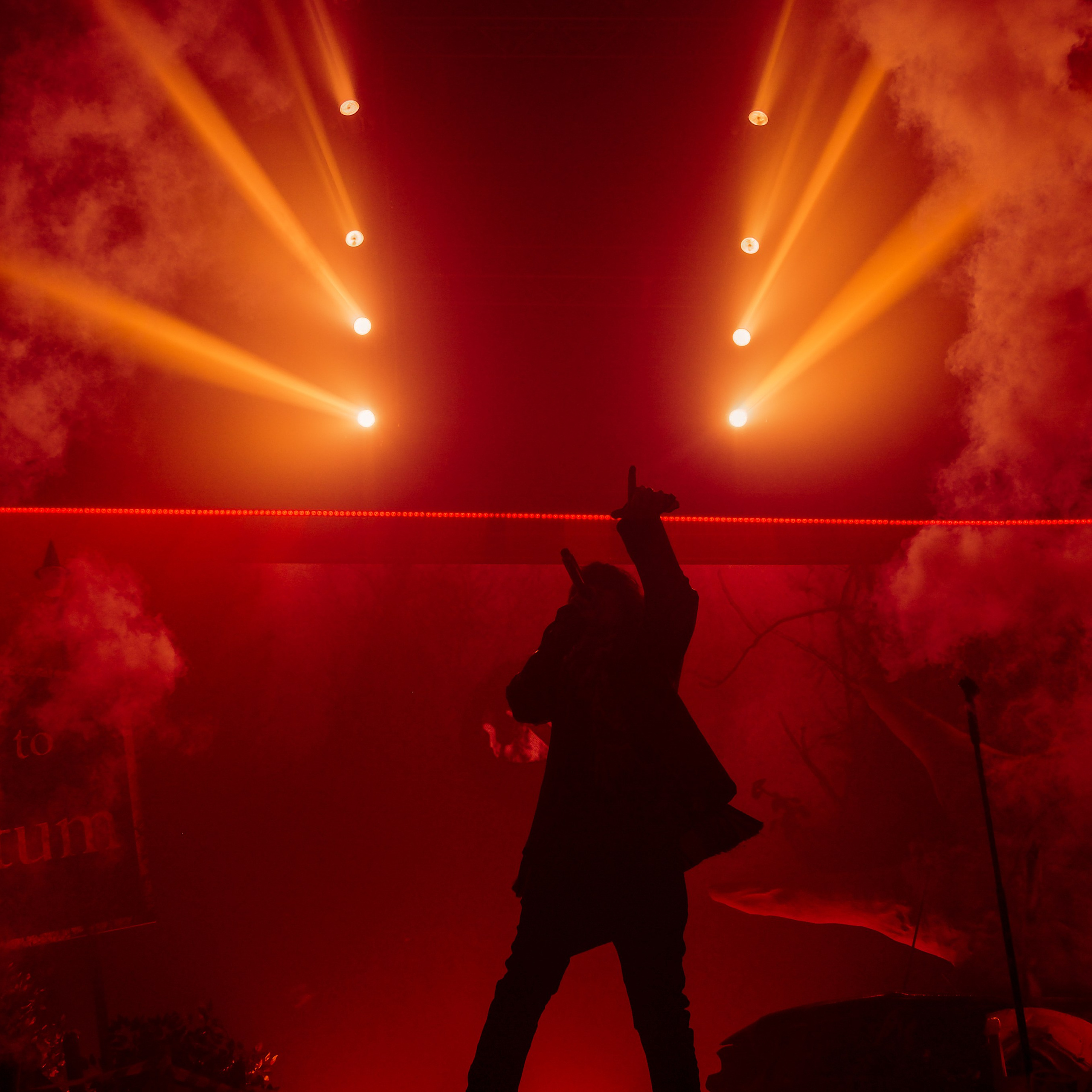 Concert photography. Ssssienbuhaphoto