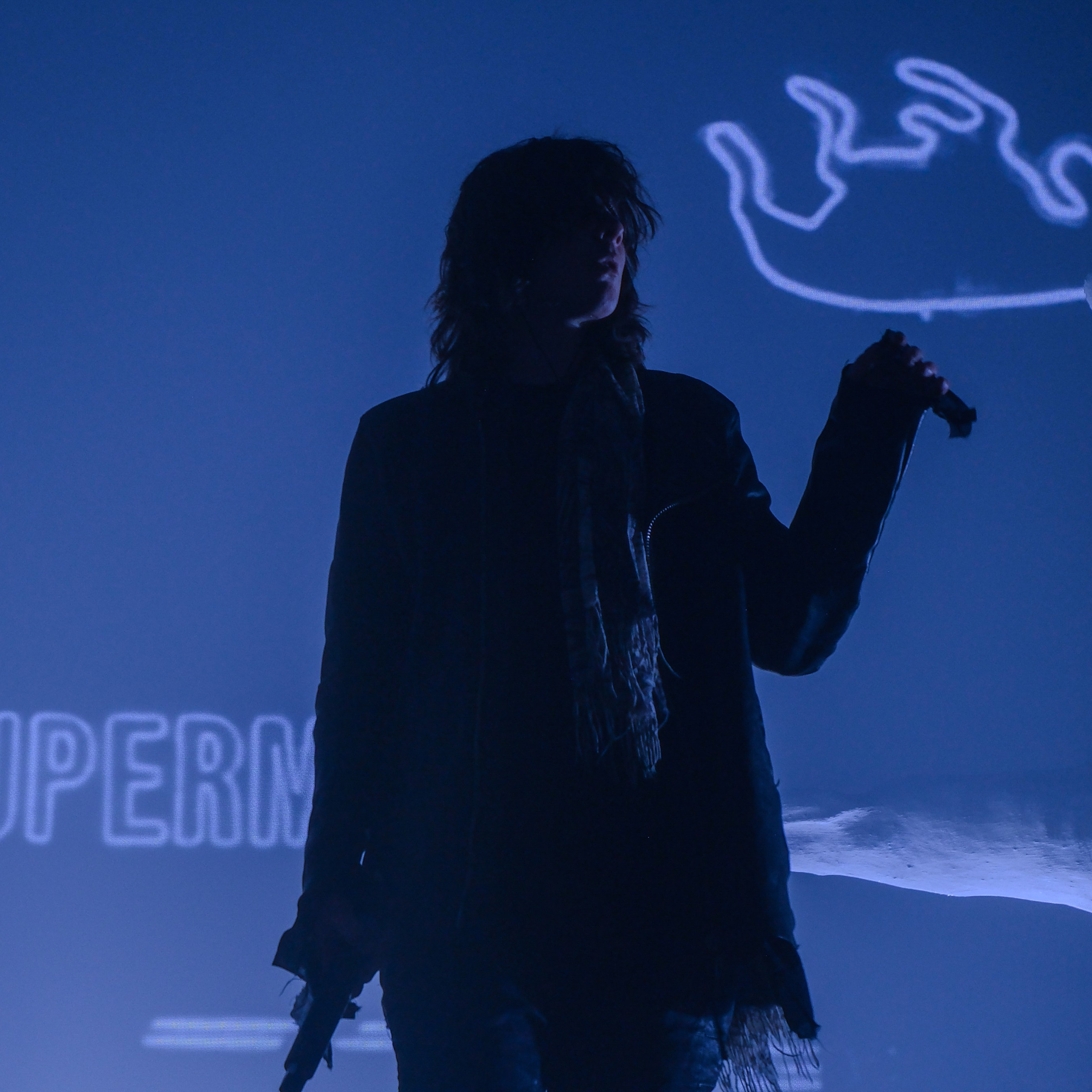 Concert photography. Ssssienbuhaphoto