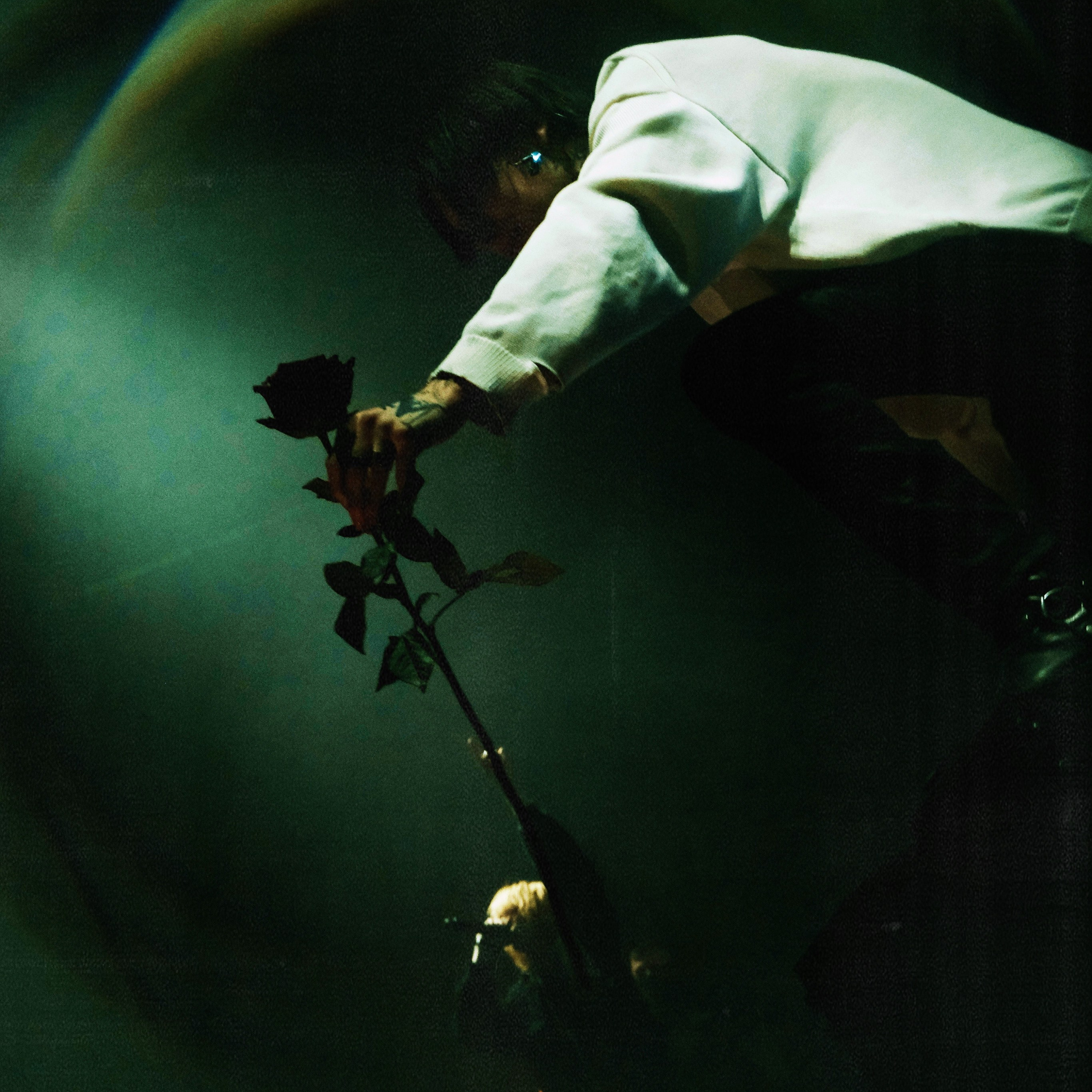 Concert photography. Ssssienbuhaphoto