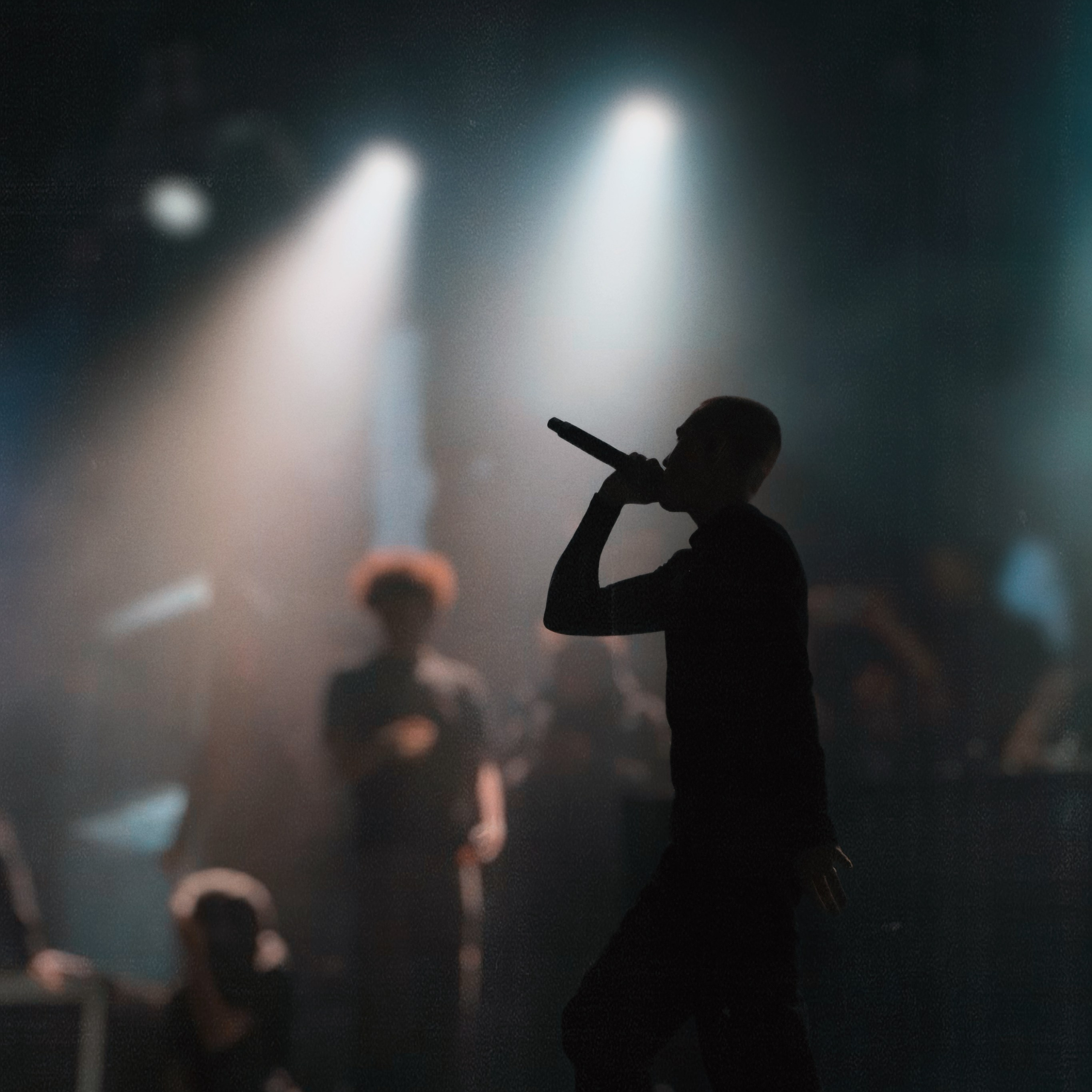 Concert photography. Ssssienbuhaphoto