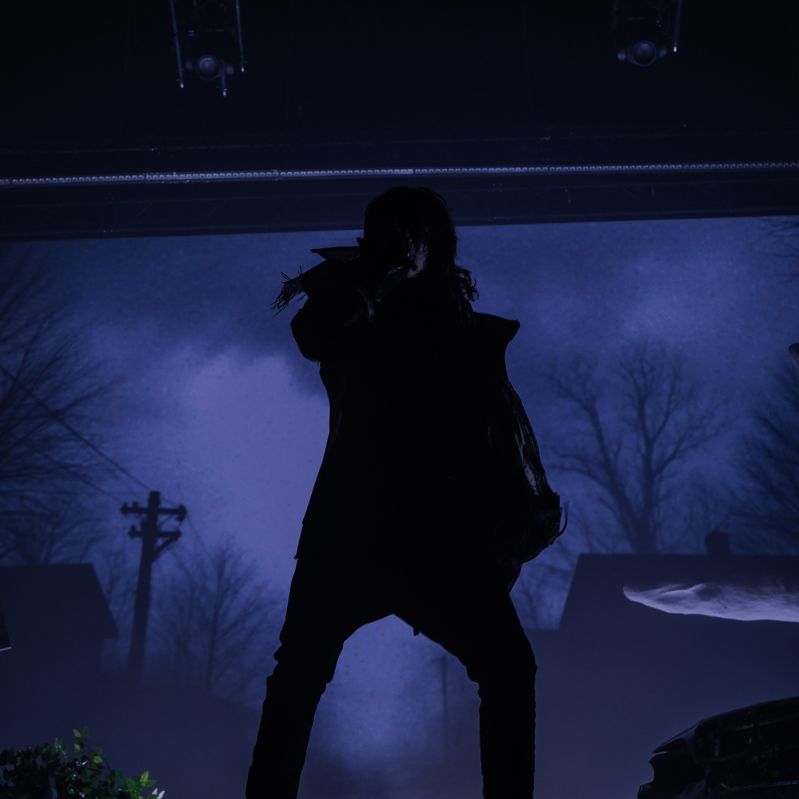 Concert photography. Ssssienbuhaphoto