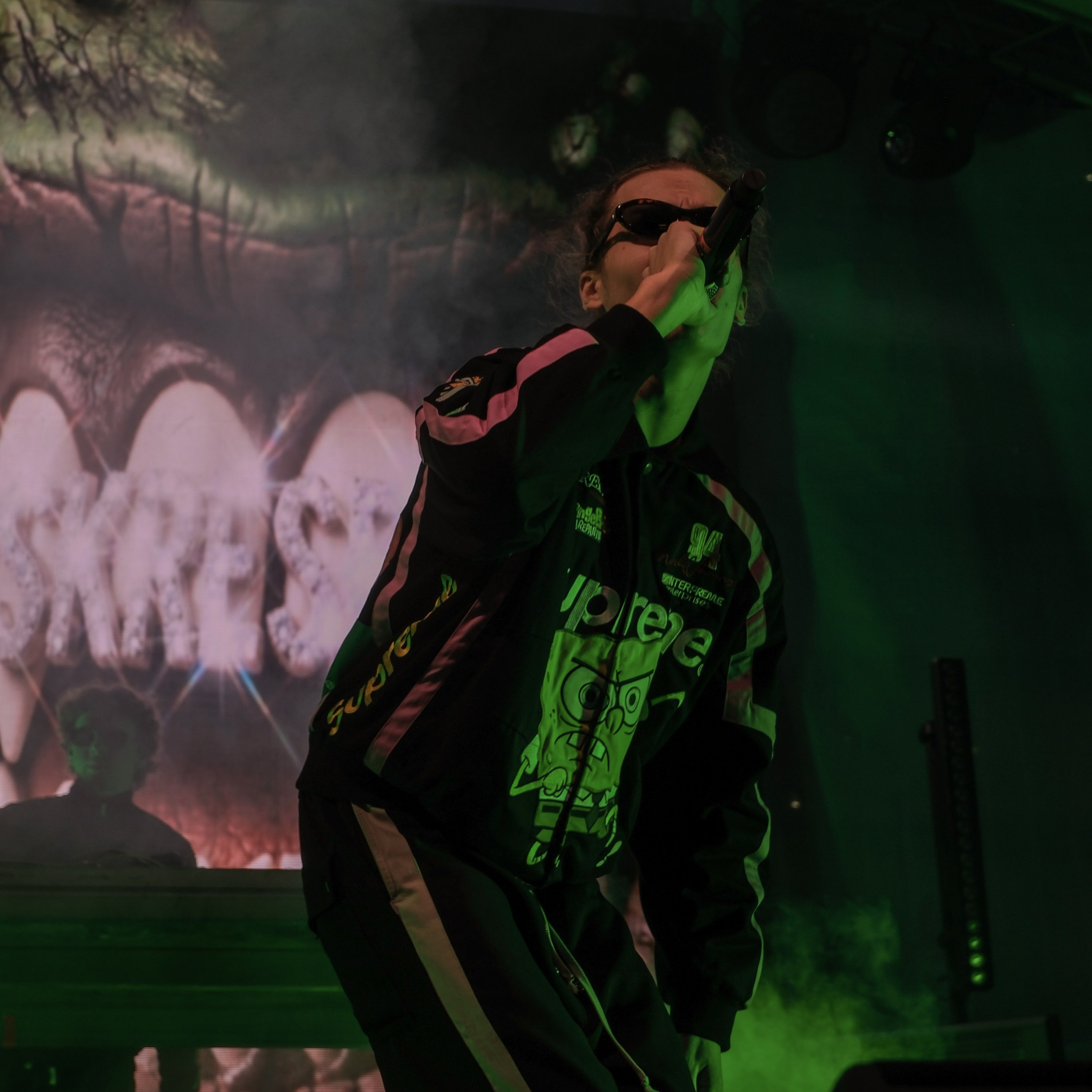 Concert photography. Ssssienbuhaphoto