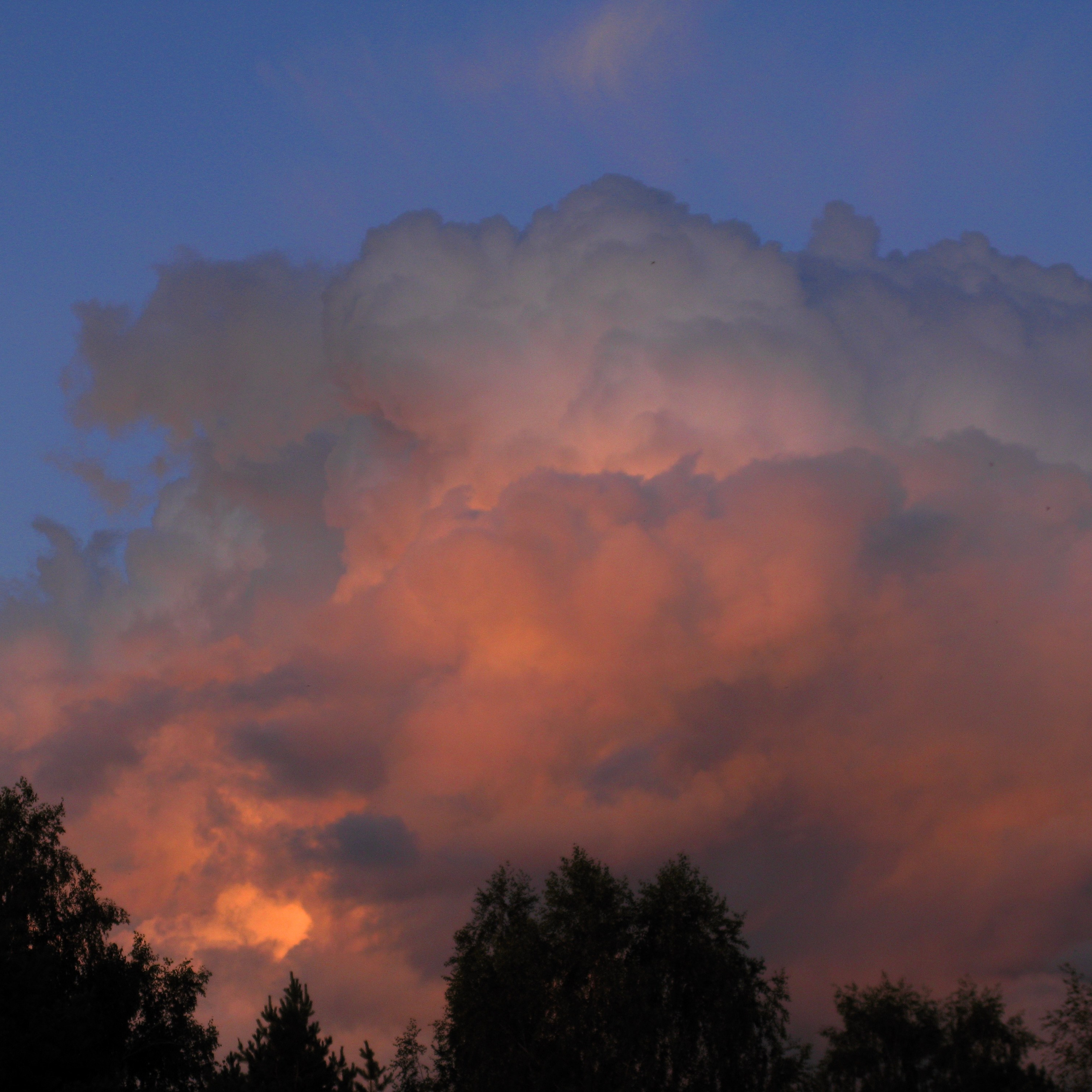 Canon Powershot G9. Ssssienbuhaphoto