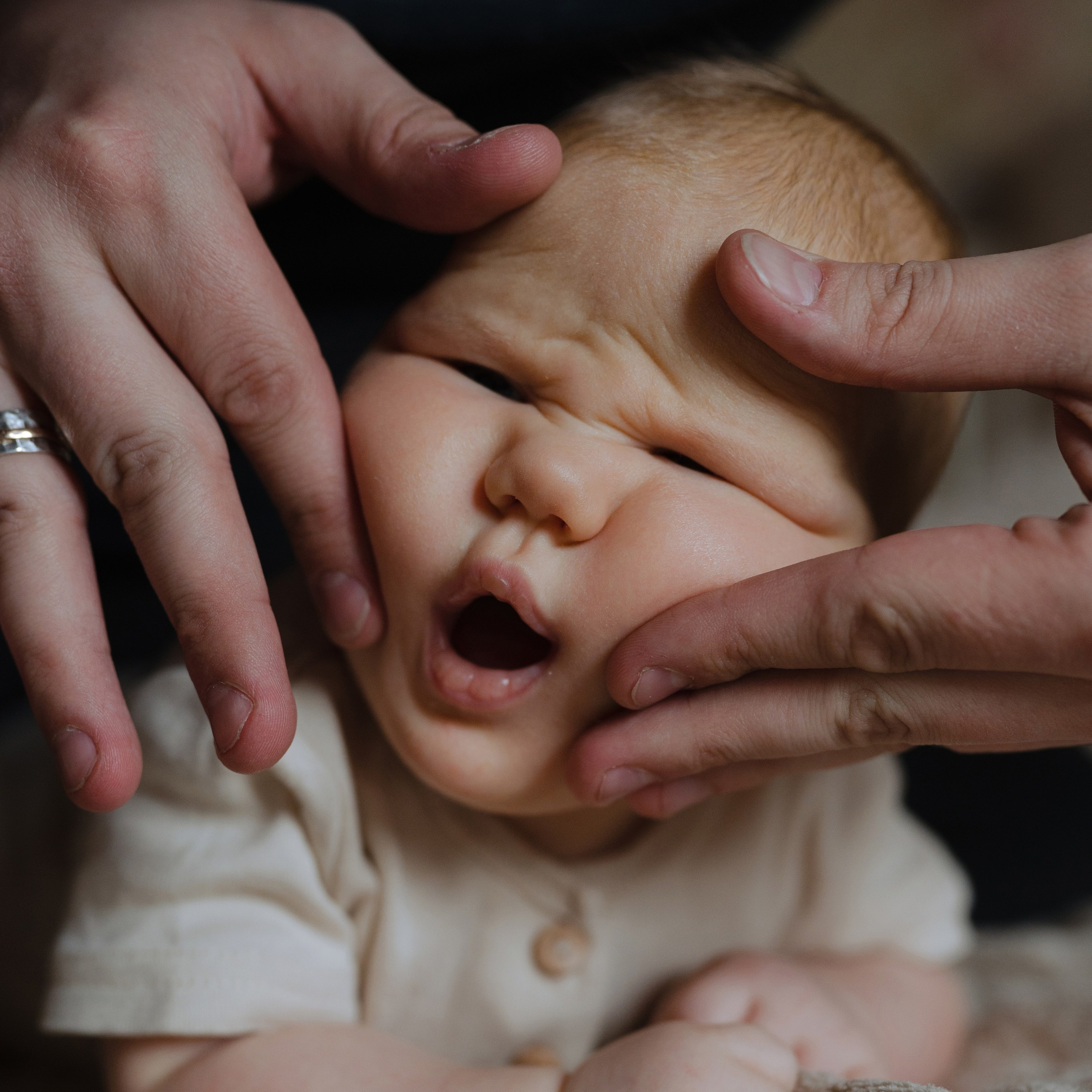 Григорьевы +1