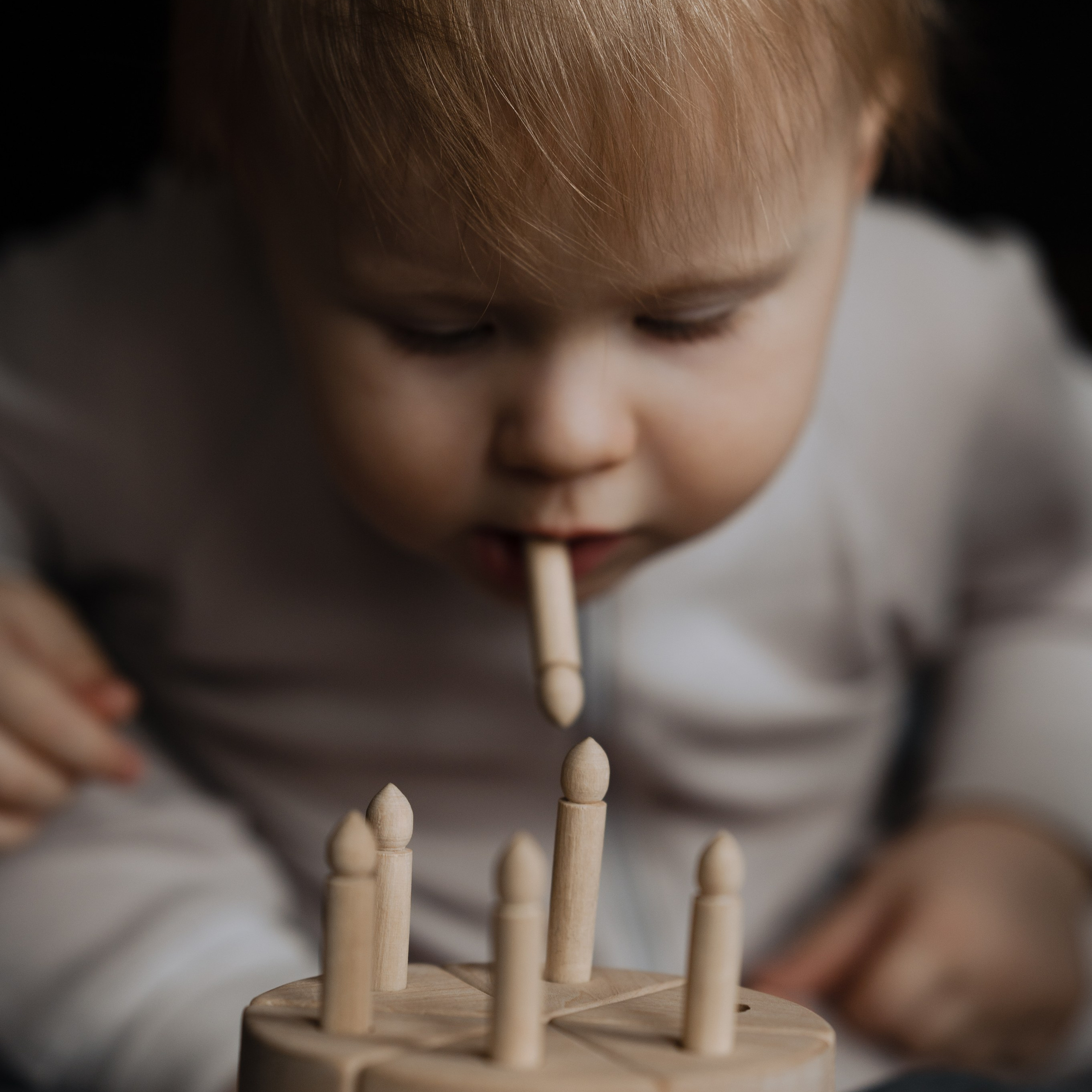 Лев, фотостудия Истории