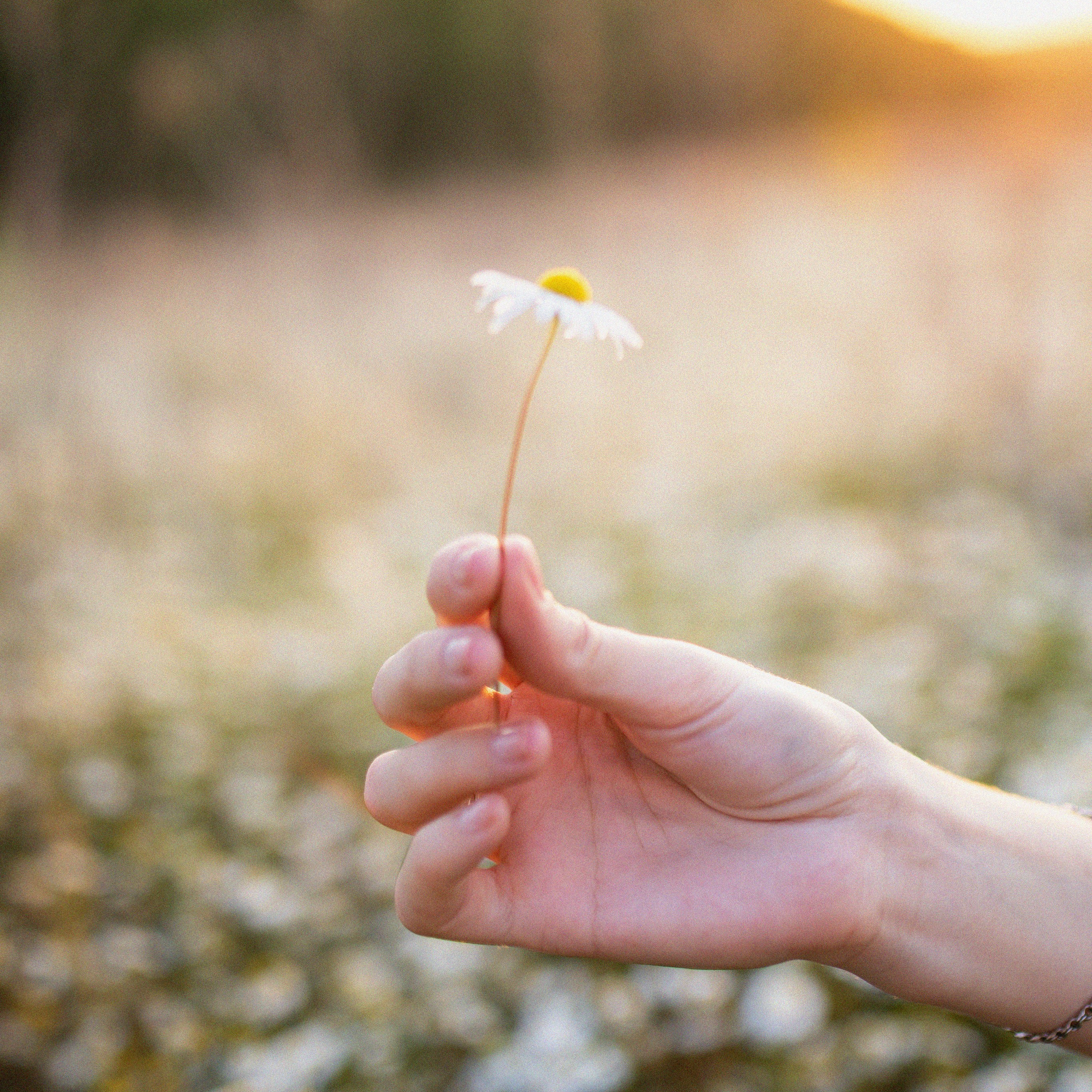 ТАНЯ. Фотограф в Воронеже Ксения Князева