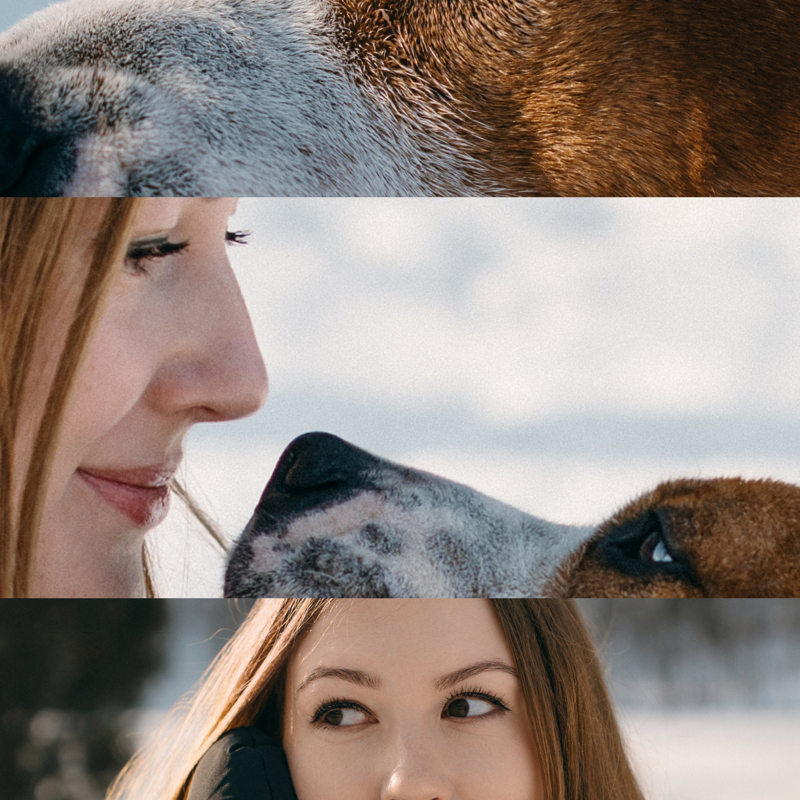 САМЫЙ ВЕРНЫЙ ДРУГ. Фотограф в Воронеже Ксения Князева