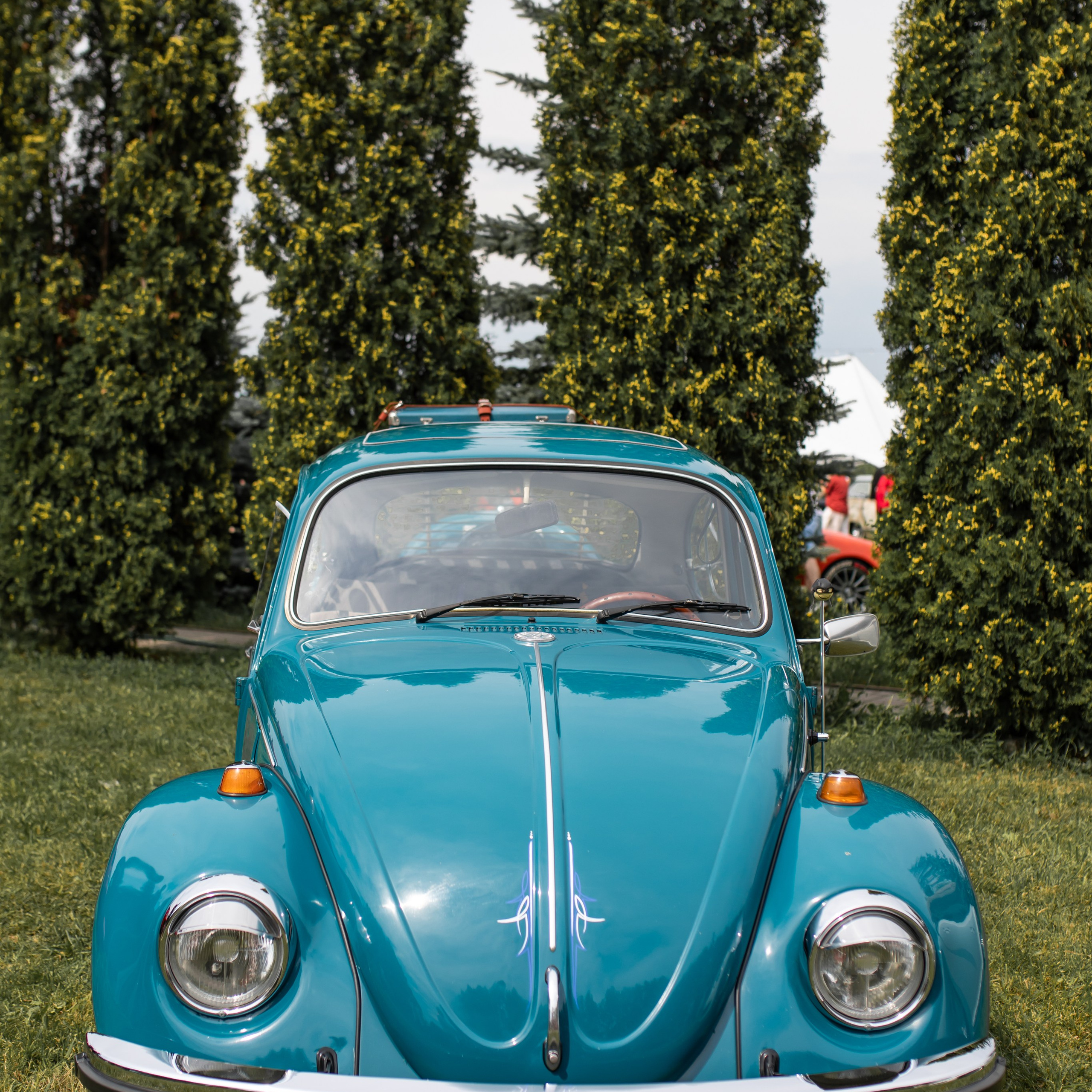 ESTC. Фотограф в Воронеже Ксения Князева