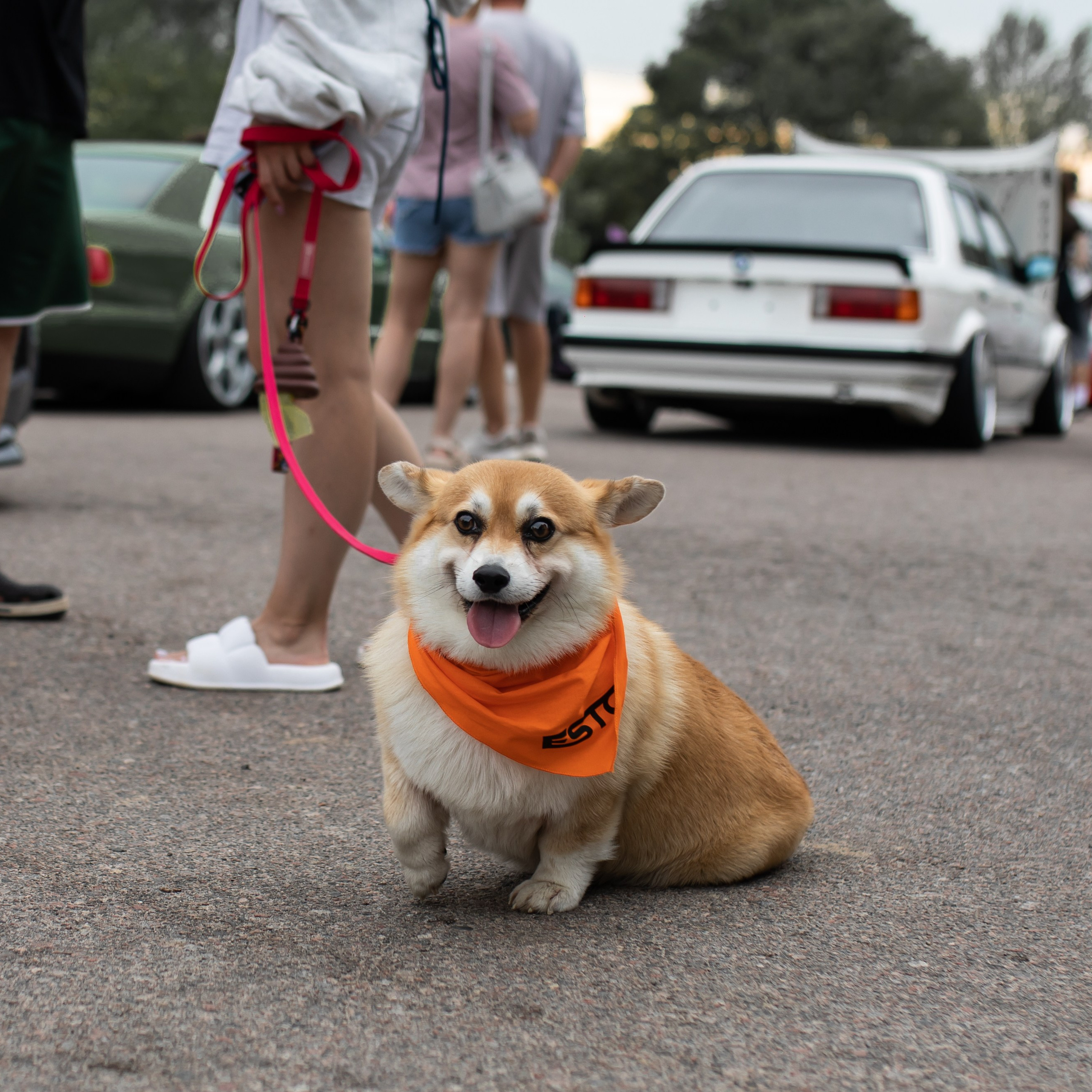 ESTC. Фотограф в Воронеже Ксения Князева