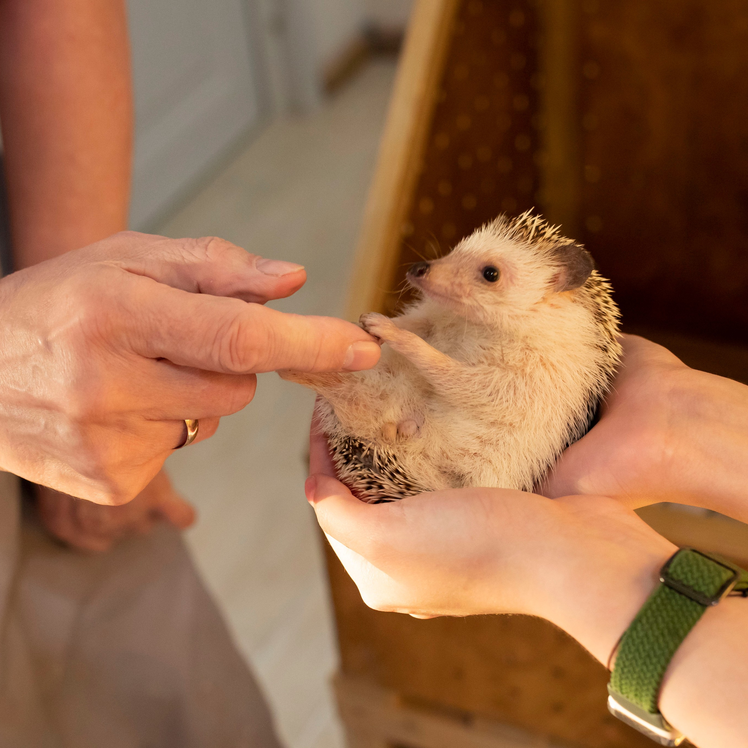 ТЁПЛАЯ ГОДОВЩИНА. Фотограф в Воронеже Ксения Князева