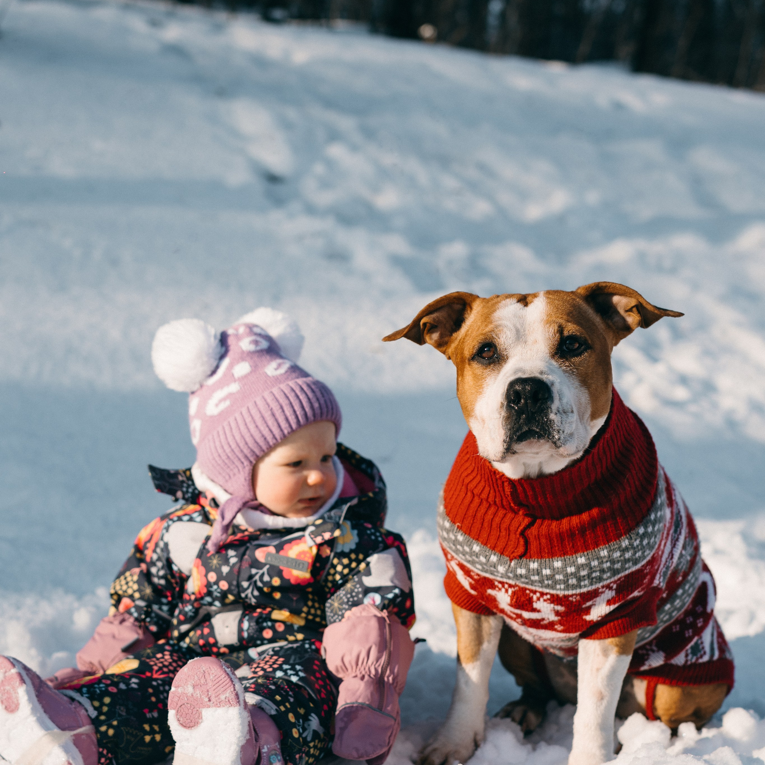 САМЫЙ ВЕРНЫЙ ДРУГ. Фотограф в Воронеже Ксения Князева